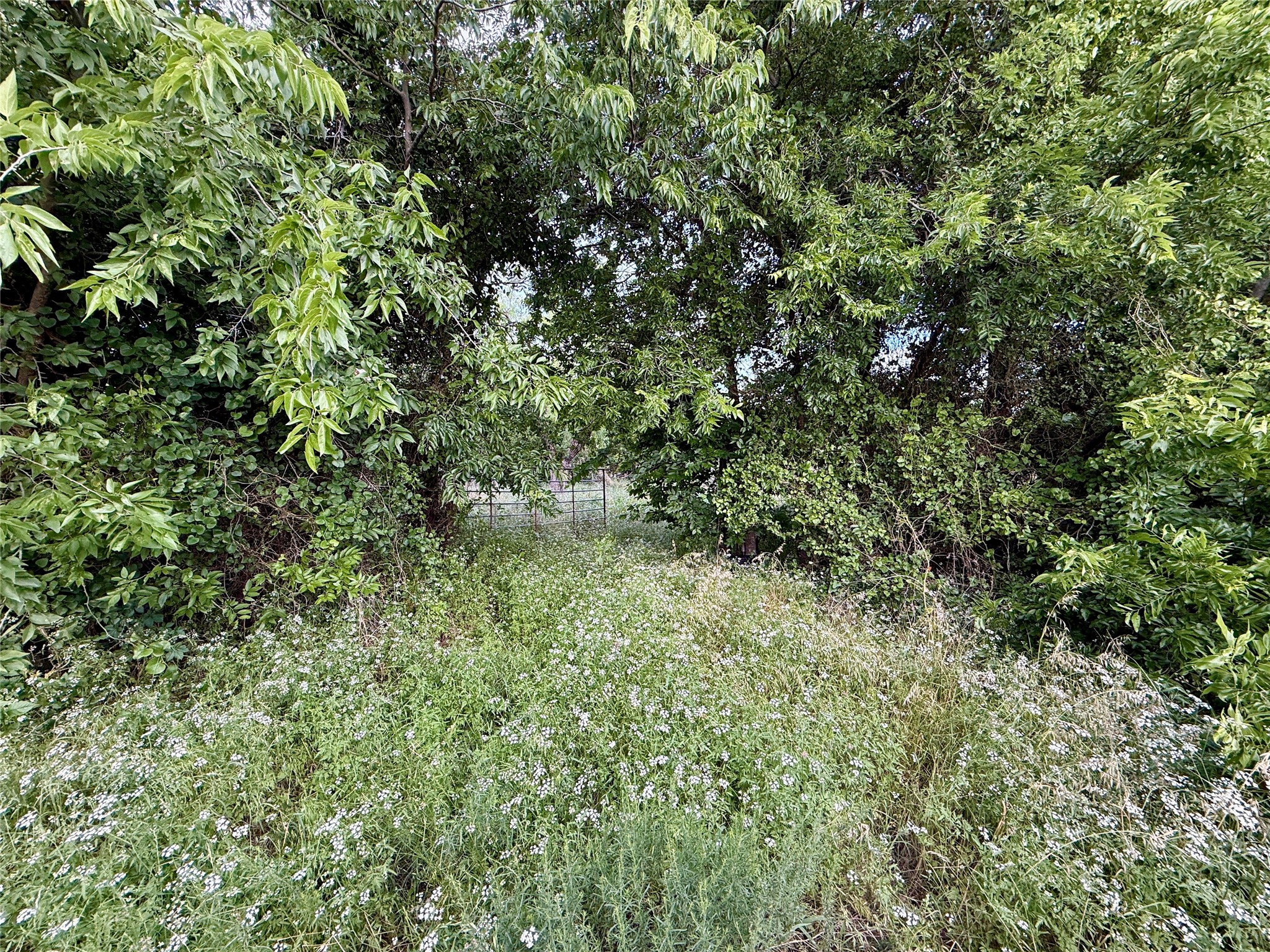 Tbd Magnolia/ Chestnut Street Hico TX 76457
