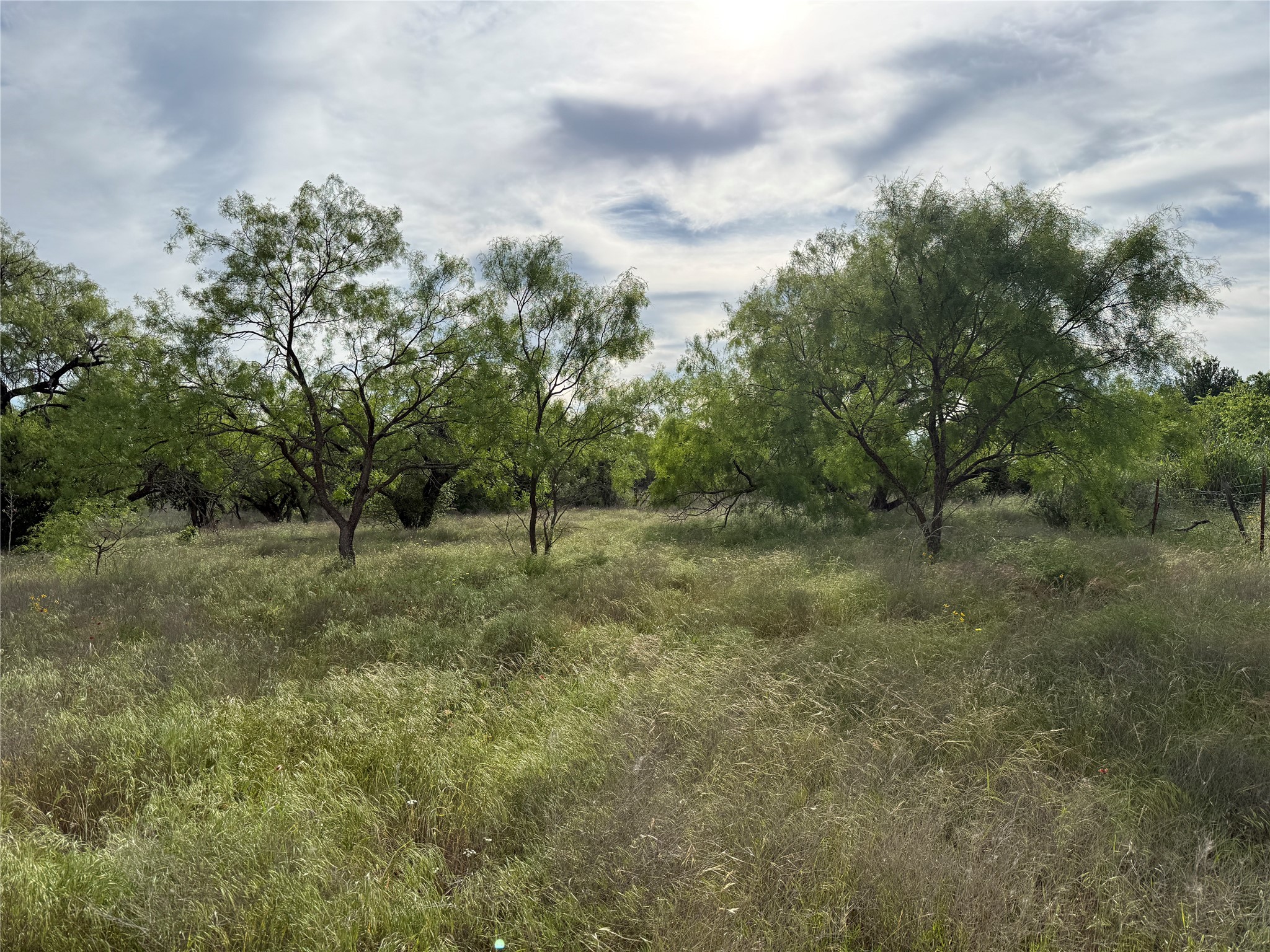 Tbd Magnolia/ Chestnut Street Hico TX 76457