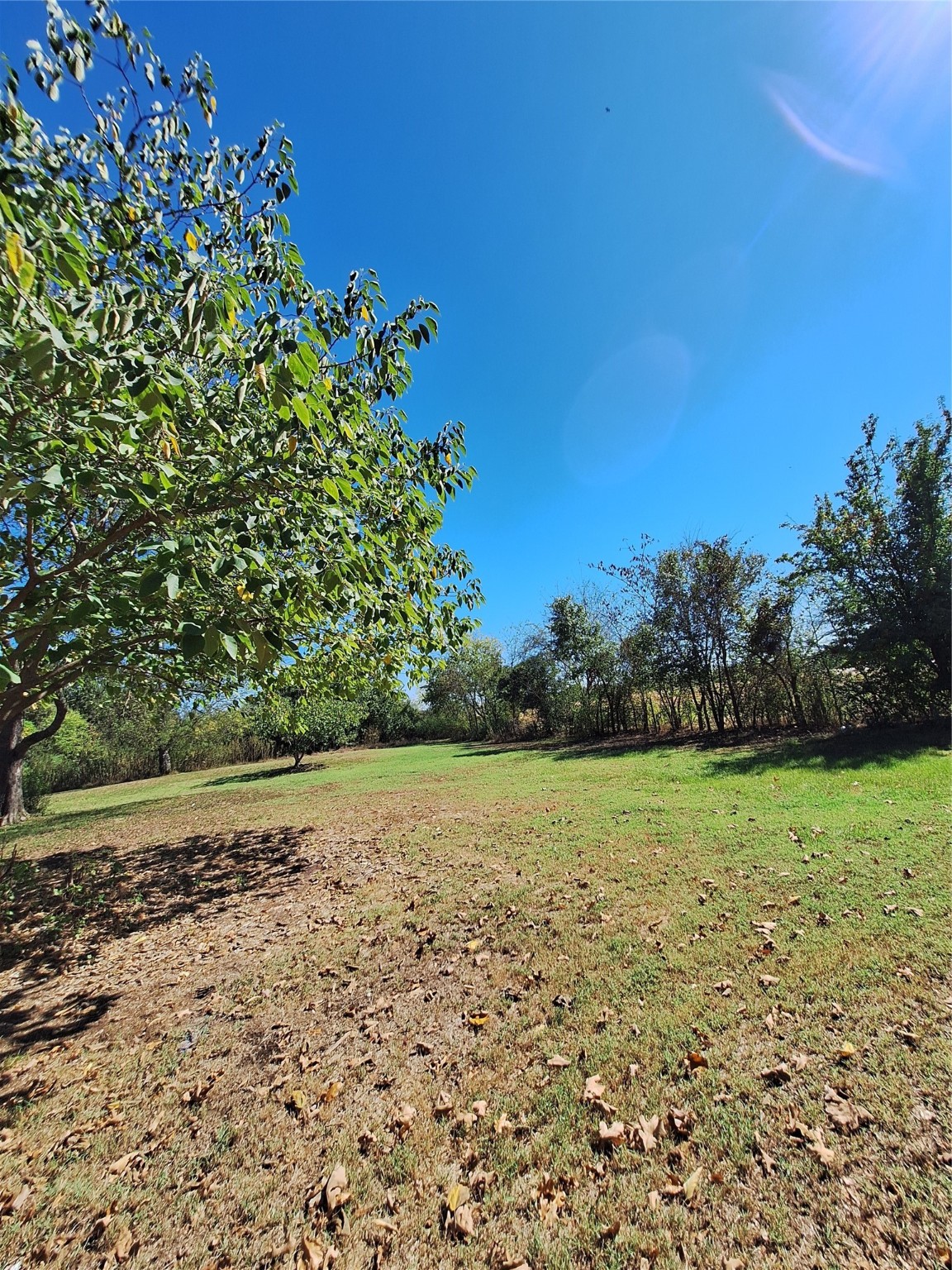 Lot 23 Simms Street Sulphur Springs TX 75482