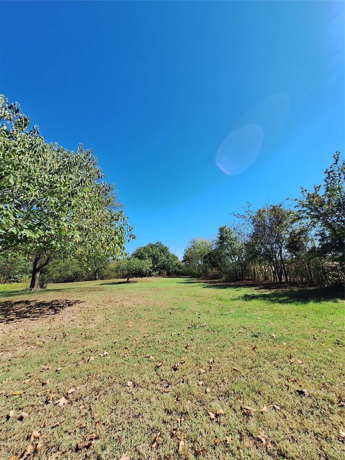 Lot 23 Simms Street Sulphur Springs TX 75482