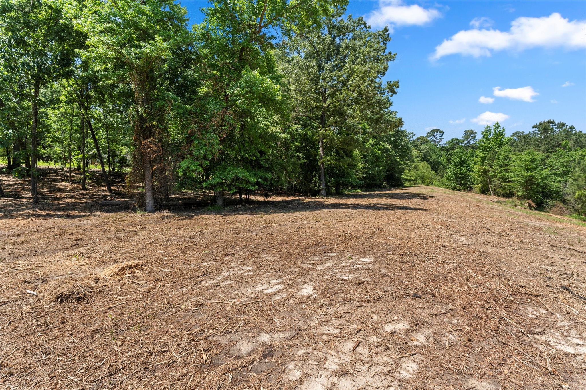 64R King Frederick Court Scroggins TX 75480