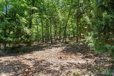64R King Frederick Court Scroggins TX 75480