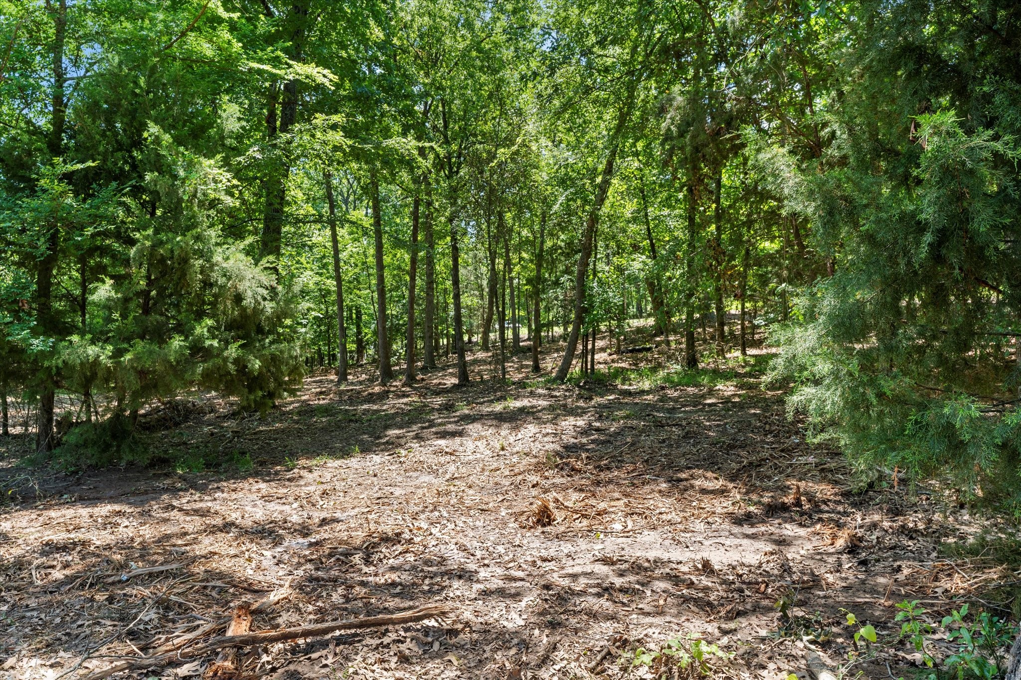64R King Frederick Court Scroggins TX 75480
