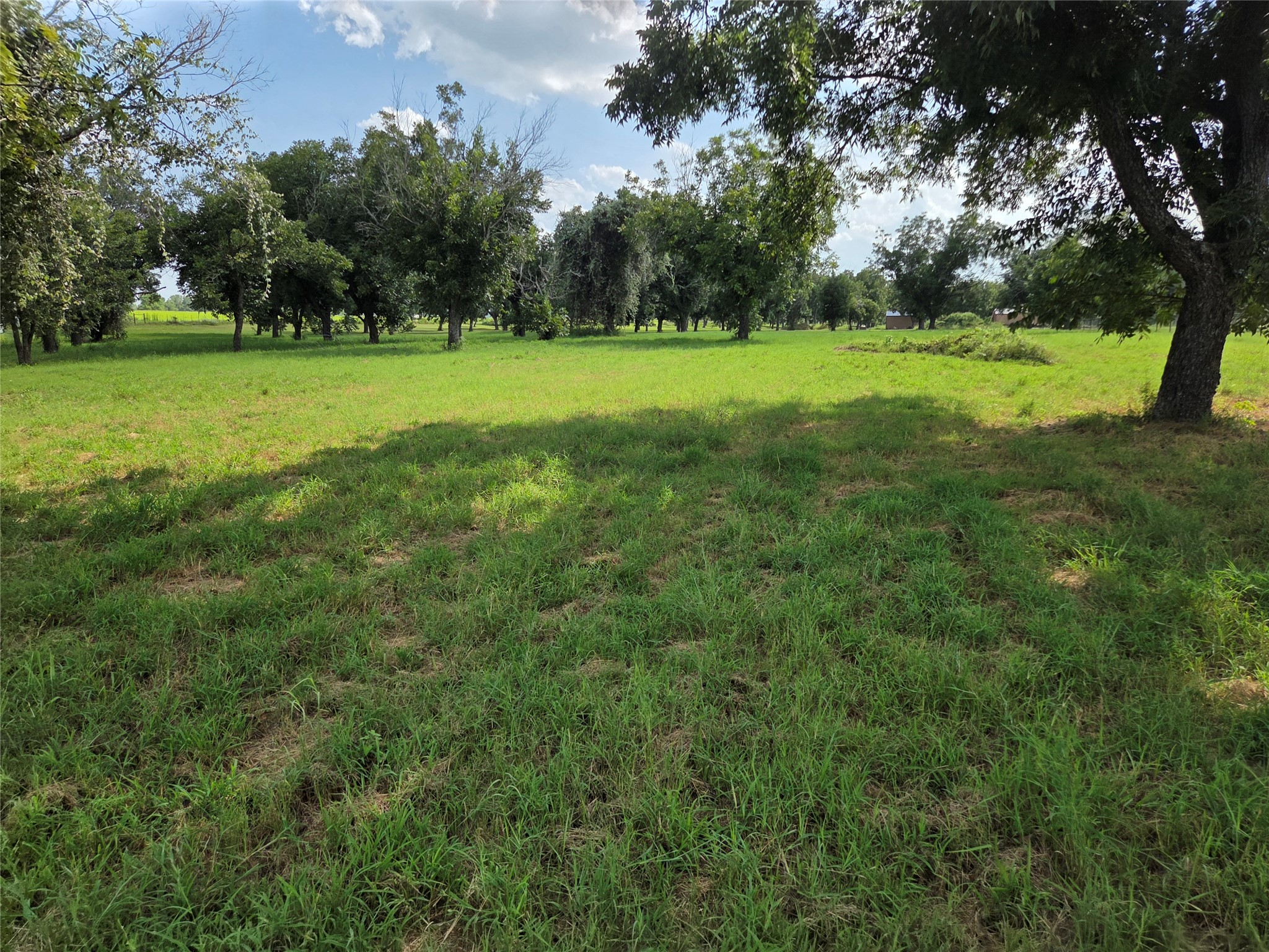 10005 Orchards Boulevard Cleburne TX 76033