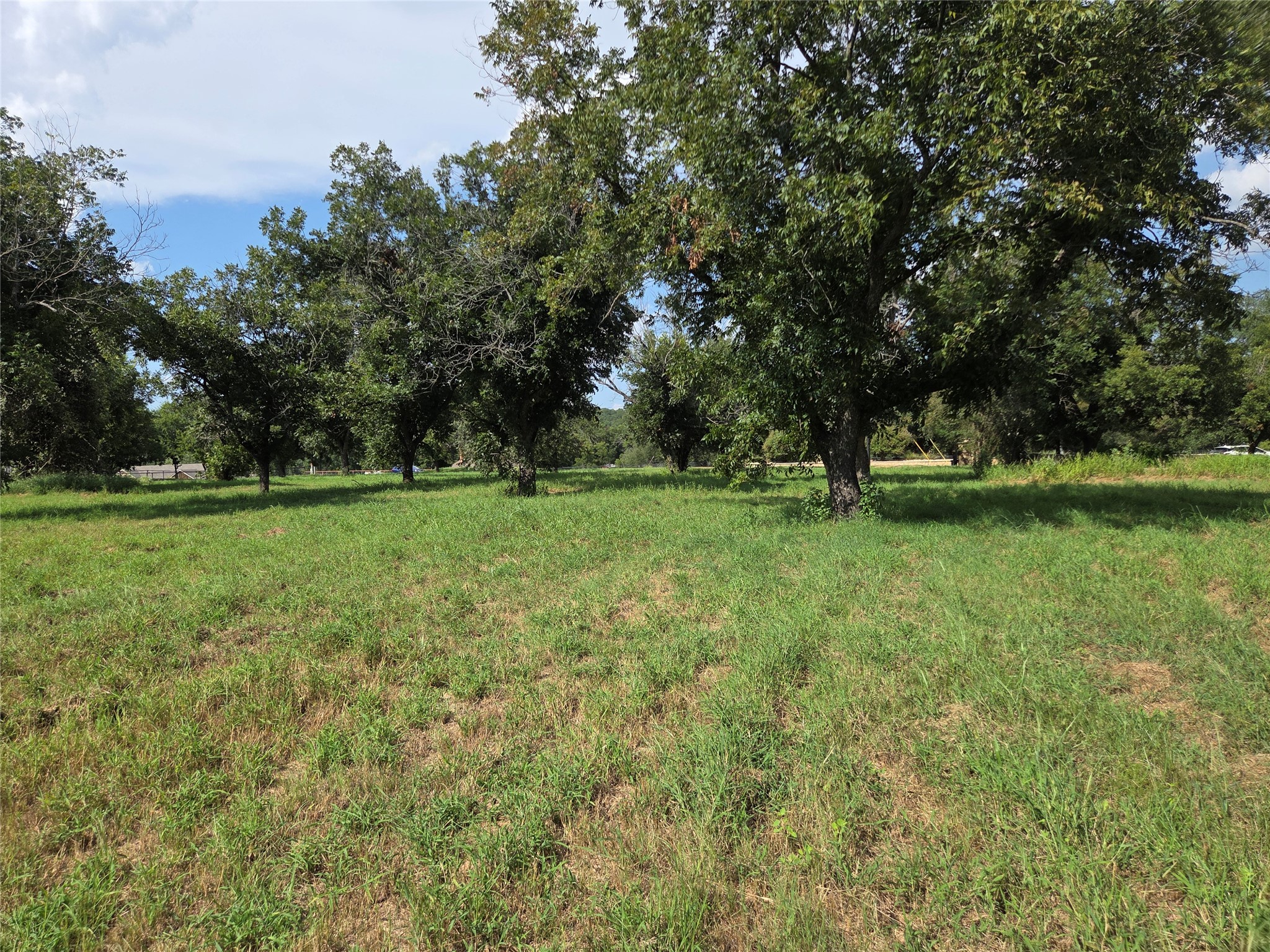 10005 Orchards Boulevard Cleburne TX 76033