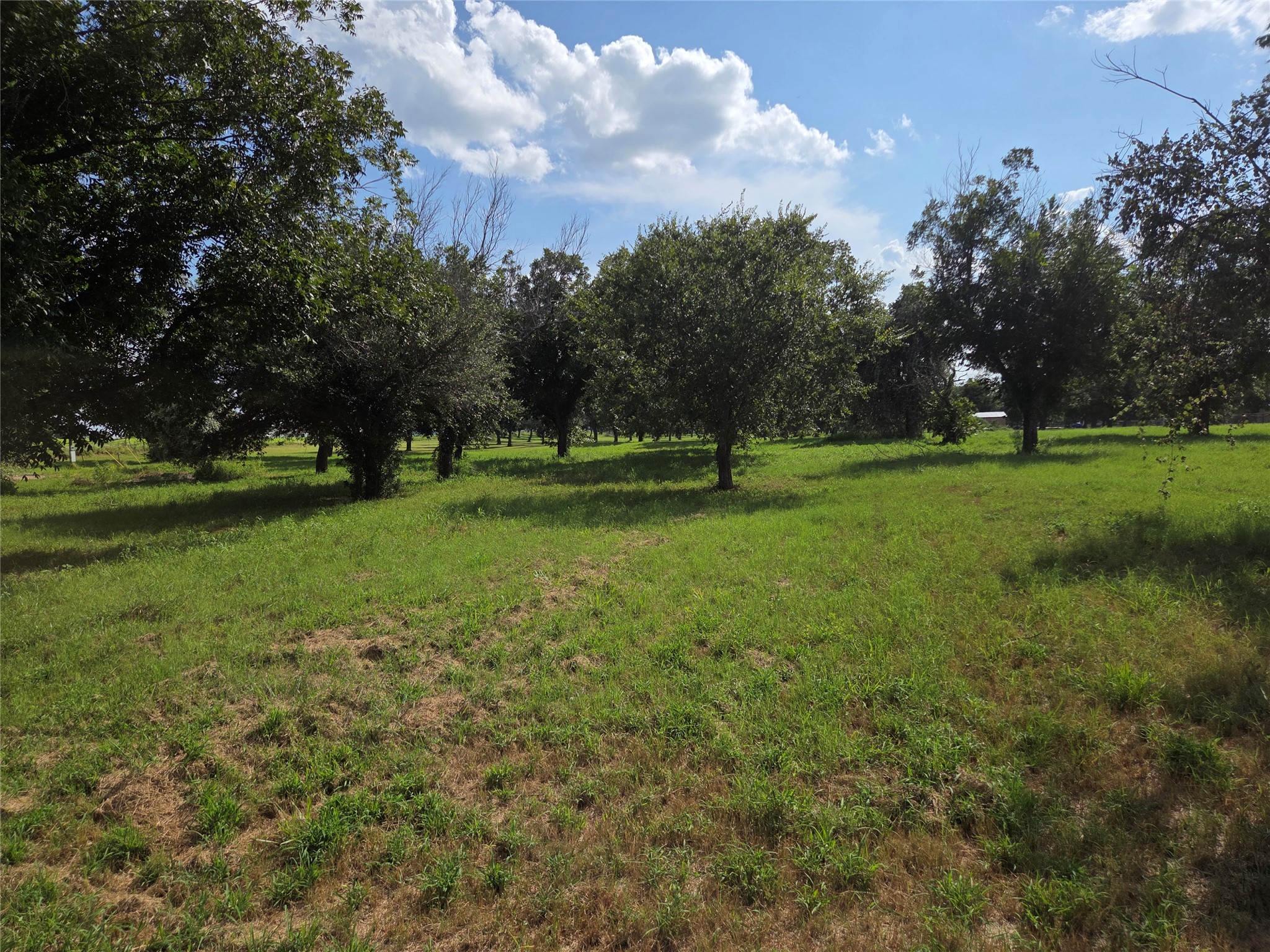 10005 Orchards Boulevard Cleburne TX 76033
