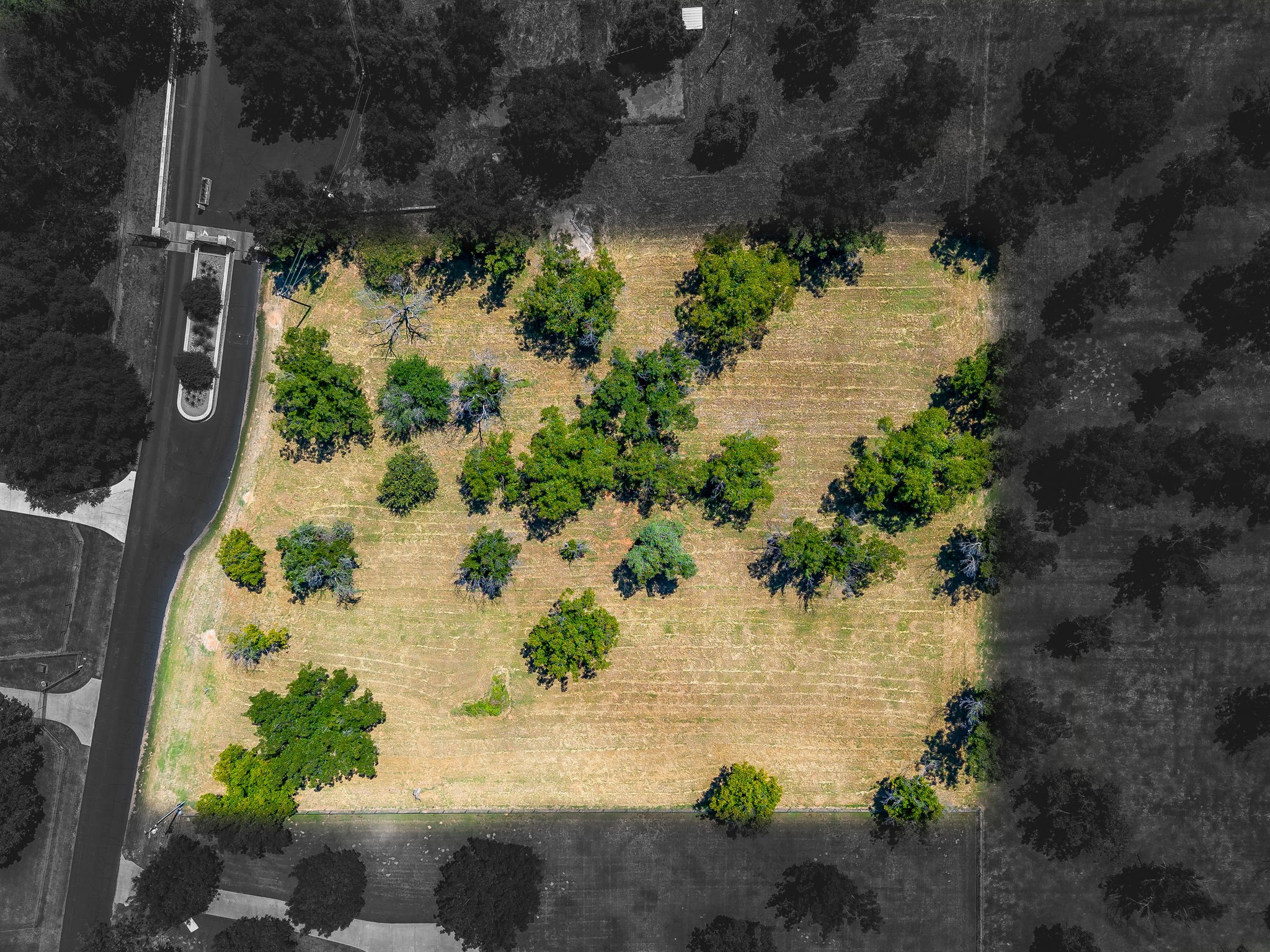 10005 Orchards Boulevard Cleburne TX 76033