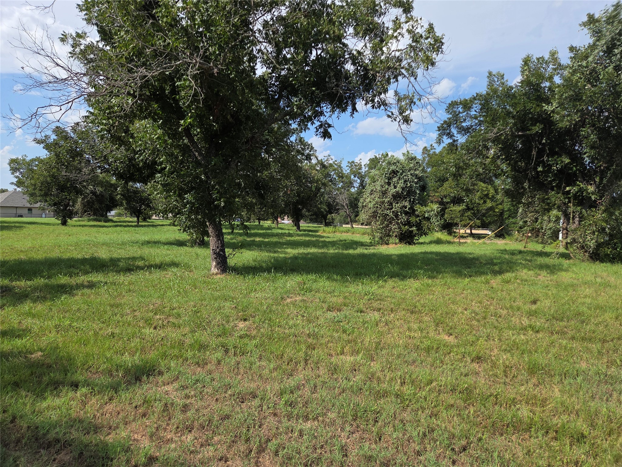 10005 Orchards Boulevard Cleburne TX 76033