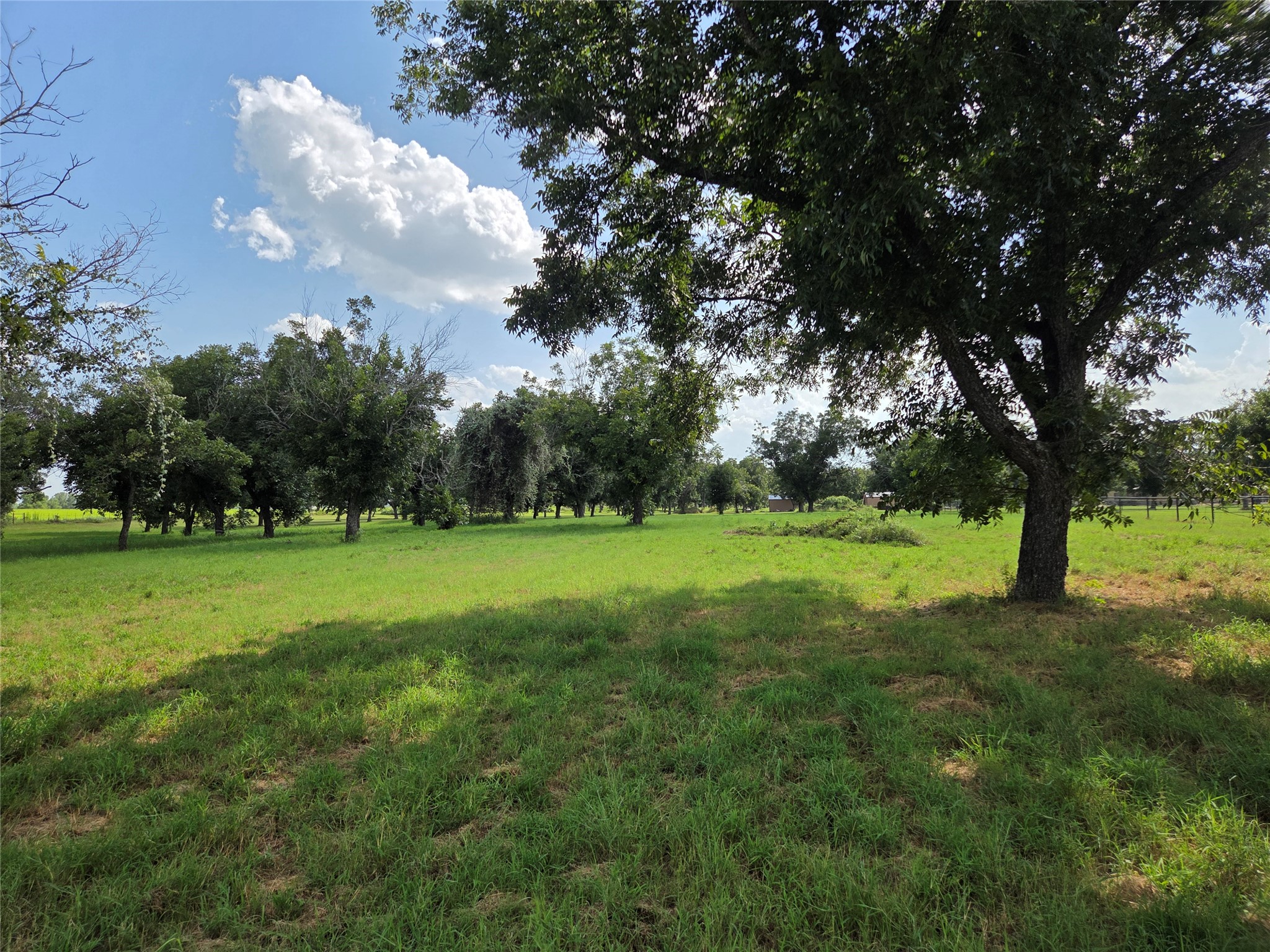 10005 Orchards Boulevard Cleburne TX 76033