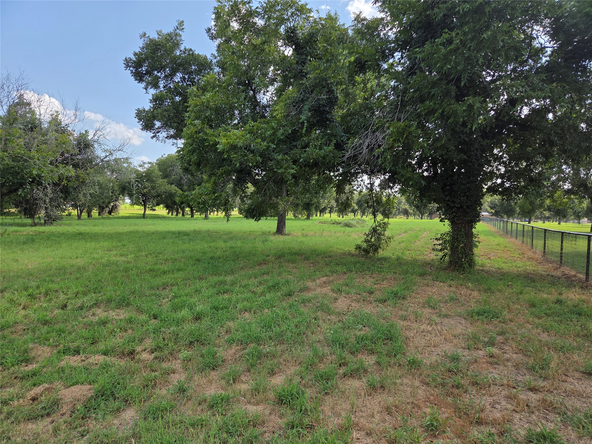 10005 Orchards Boulevard Cleburne TX 76033