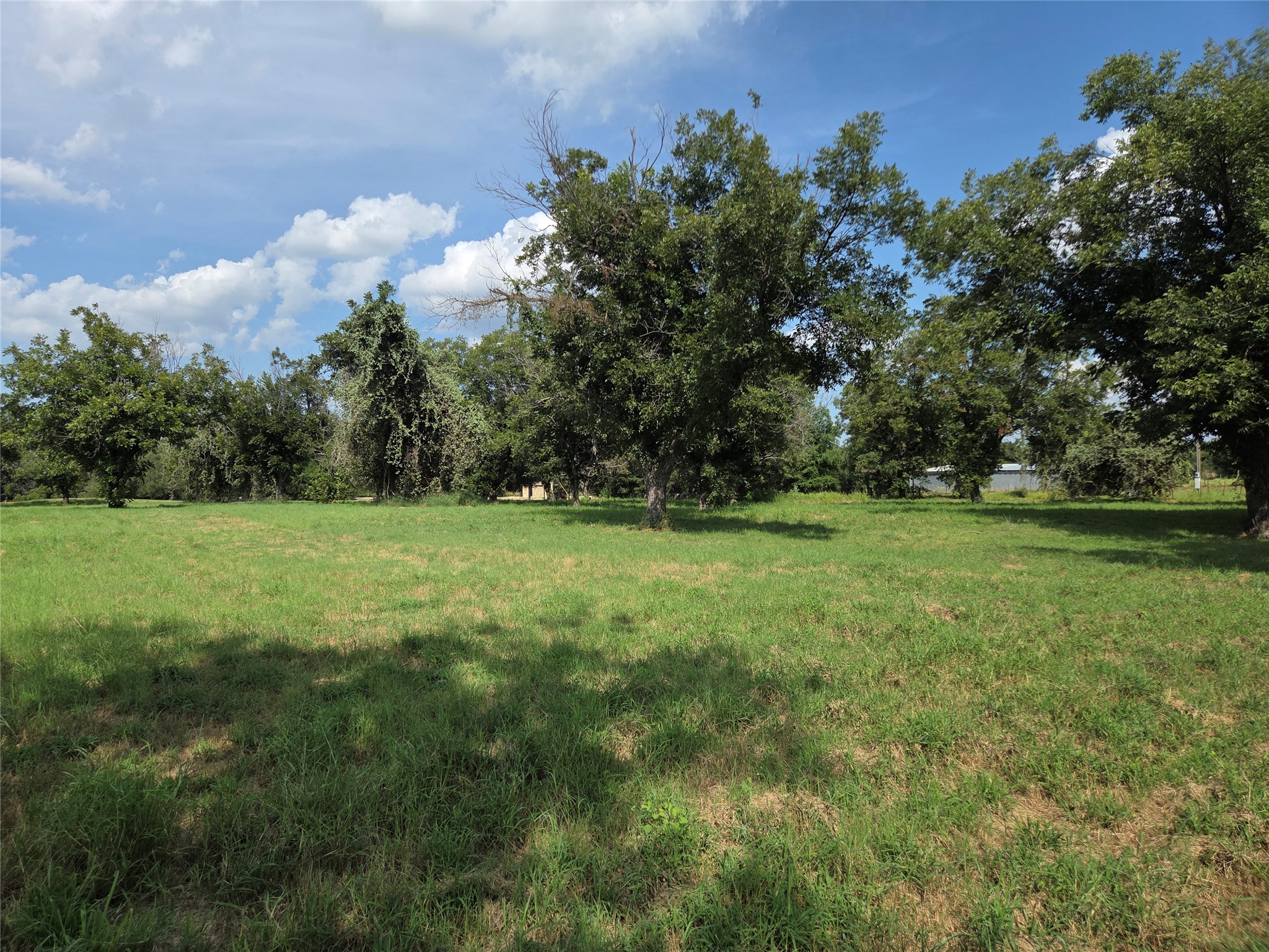 10005 Orchards Boulevard Cleburne TX 76033