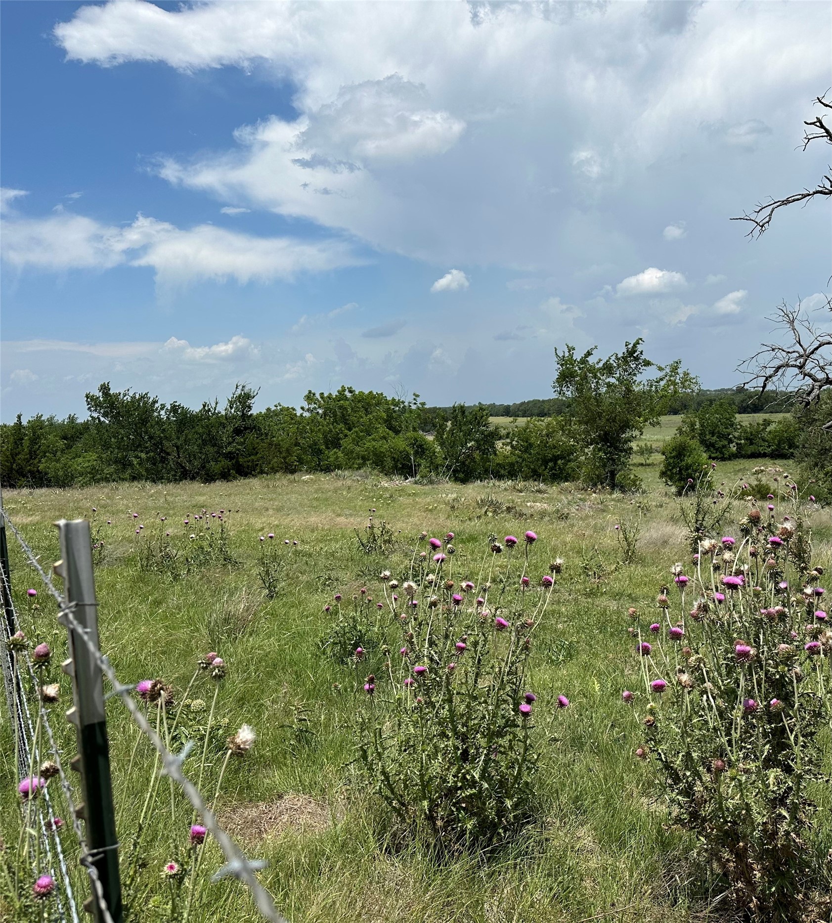 130 County Road 265 Priddy TX 76442