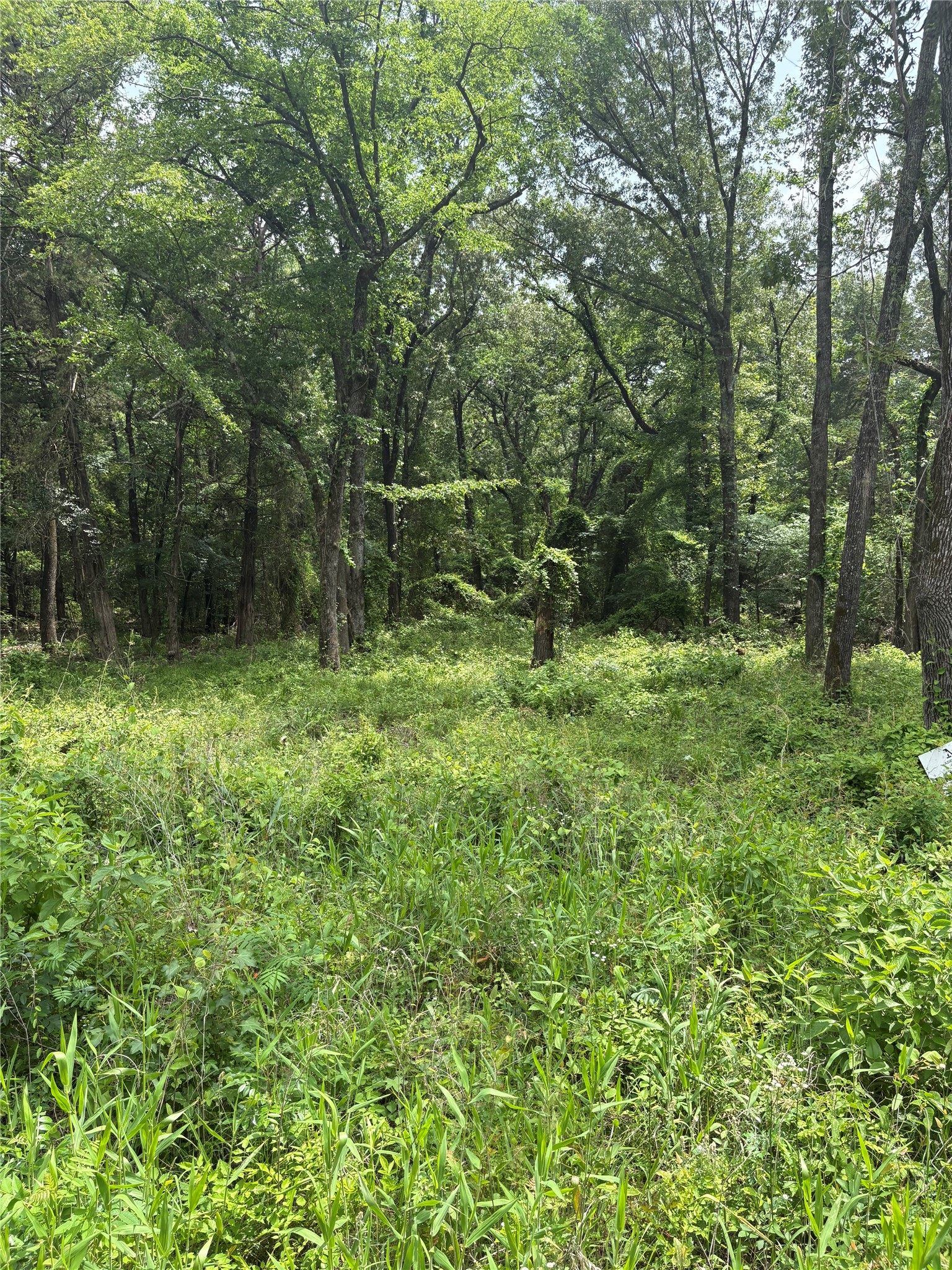 0 County Road 4112 Canton TX 75103