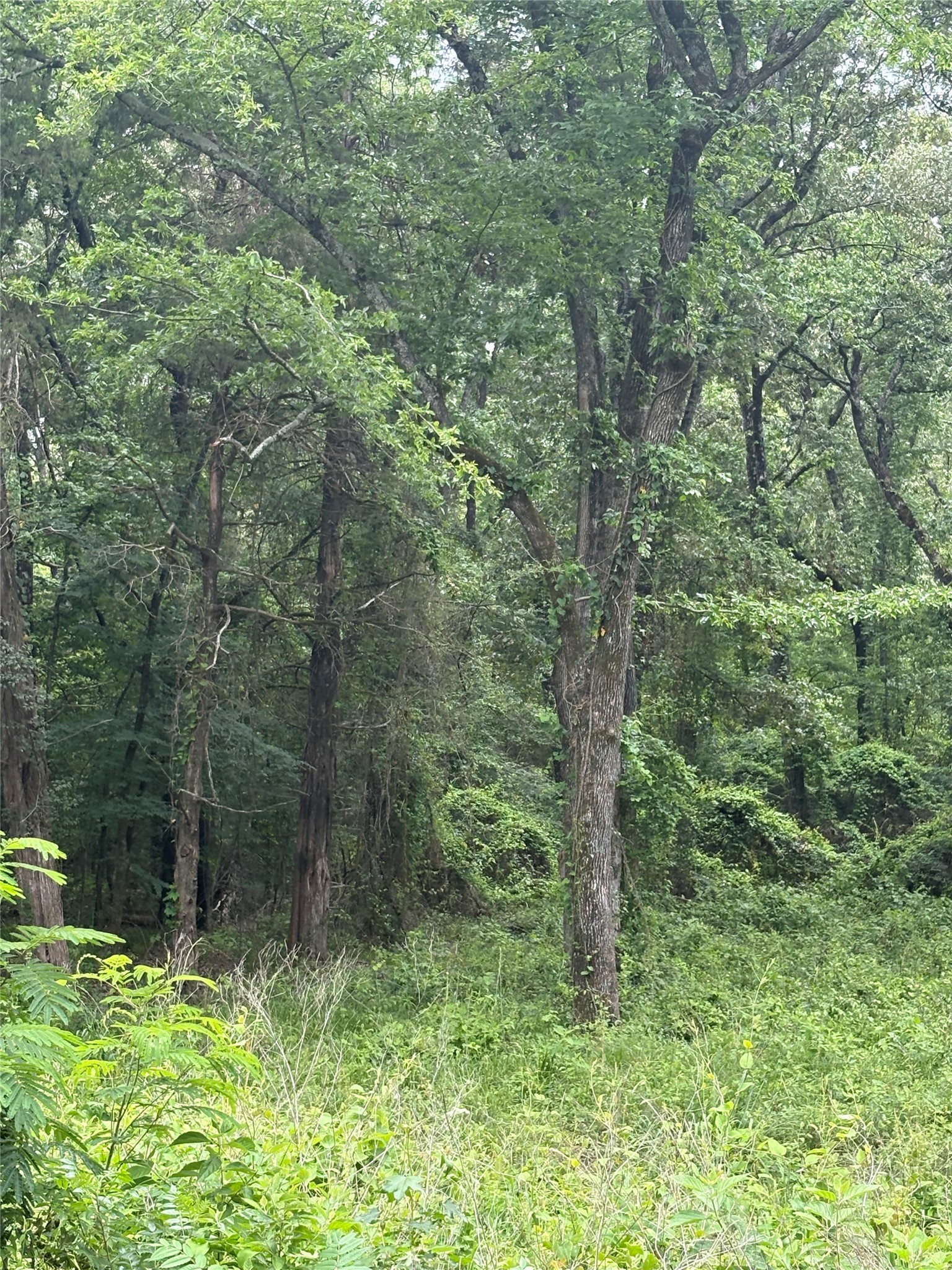 0 County Road 4112 Canton TX 75103