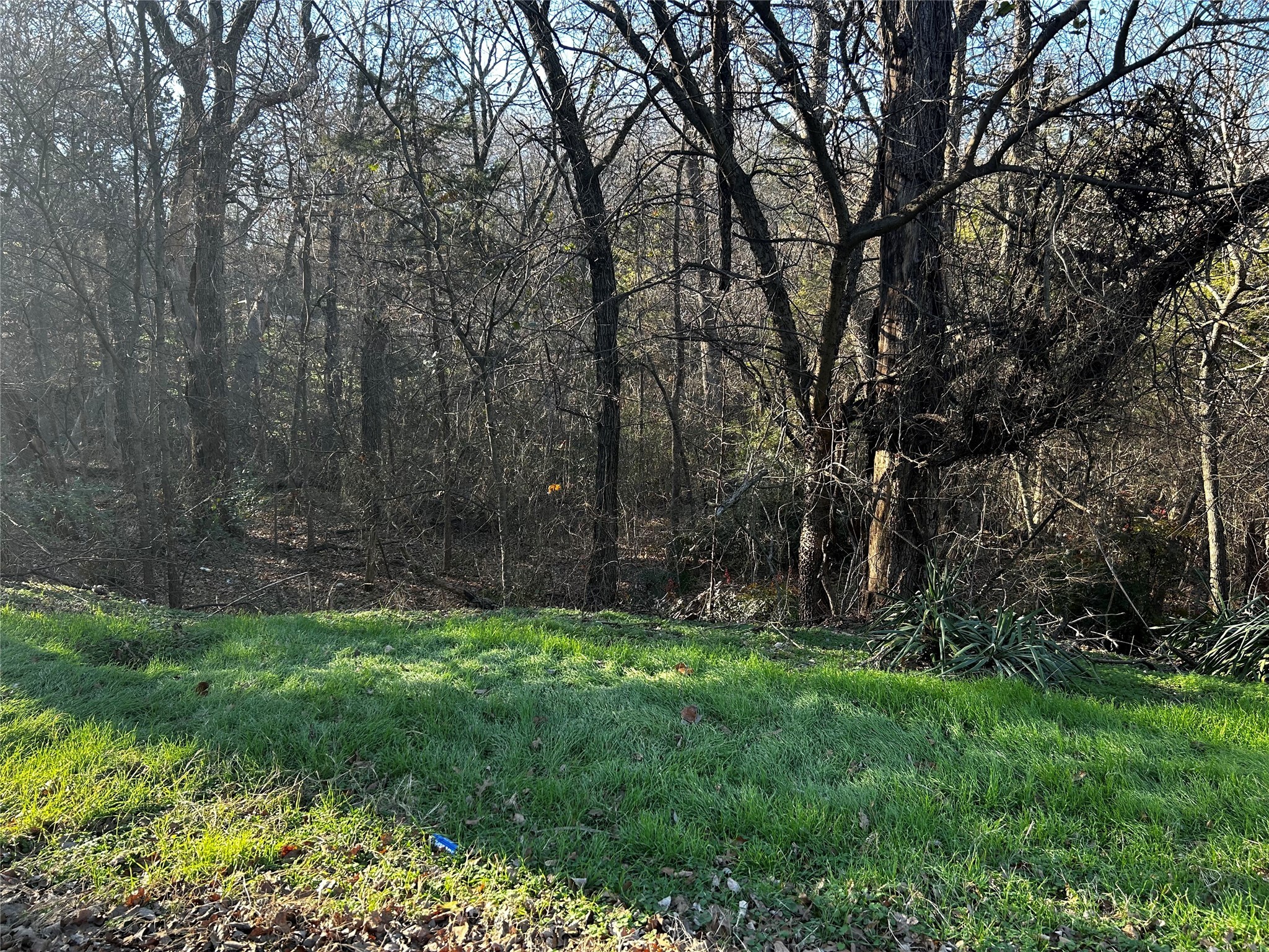 236, 237 Stone Circle Drive Gordonville TX 76245