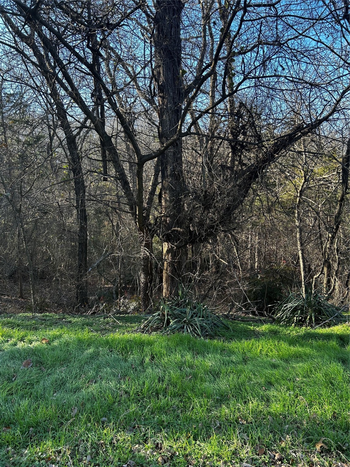 236, 237 Stone Circle Drive Gordonville TX 76245