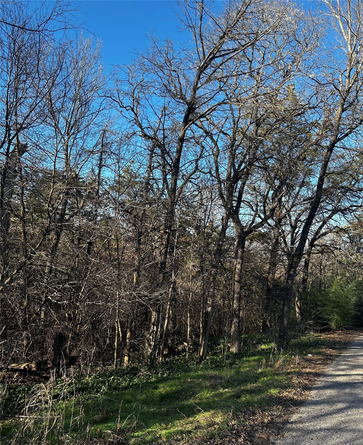 236, 237 Stone Circle Drive Gordonville TX 76245