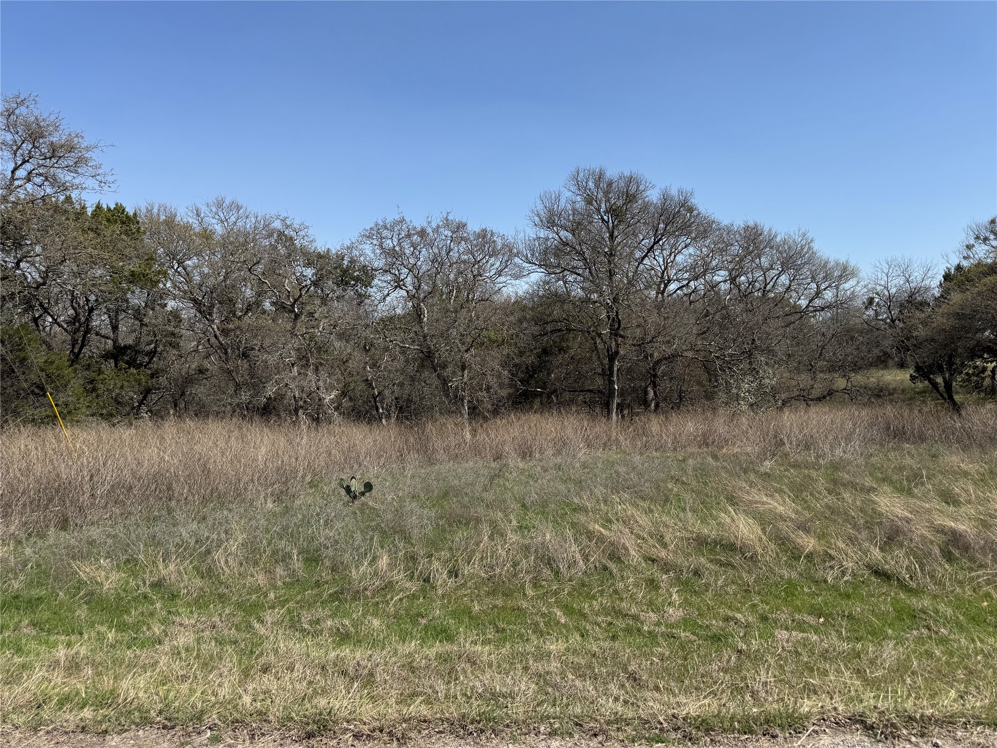 10053 Bluffview Court Whitney TX 76692
