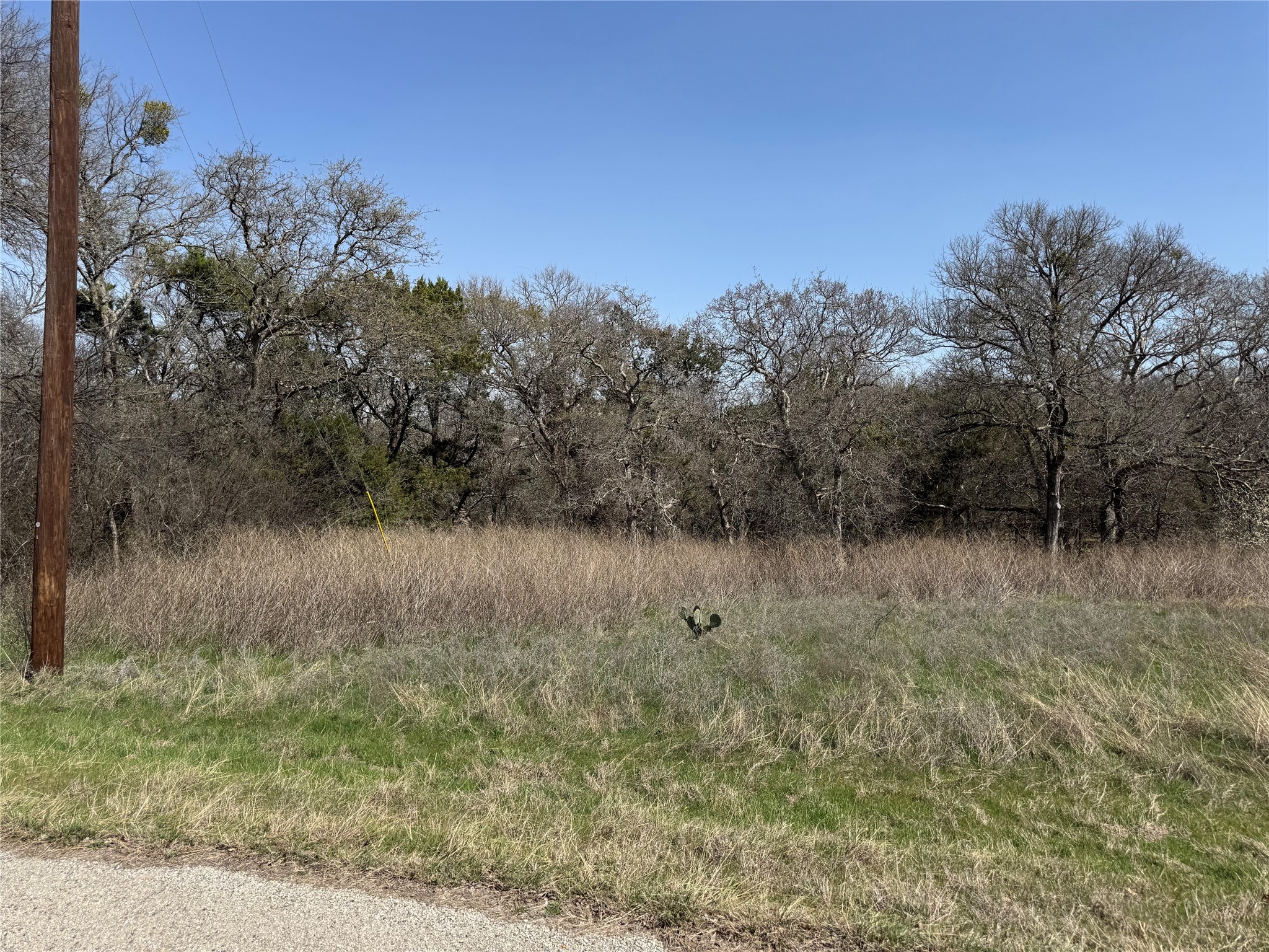 10053 Bluffview Court Whitney TX 76692