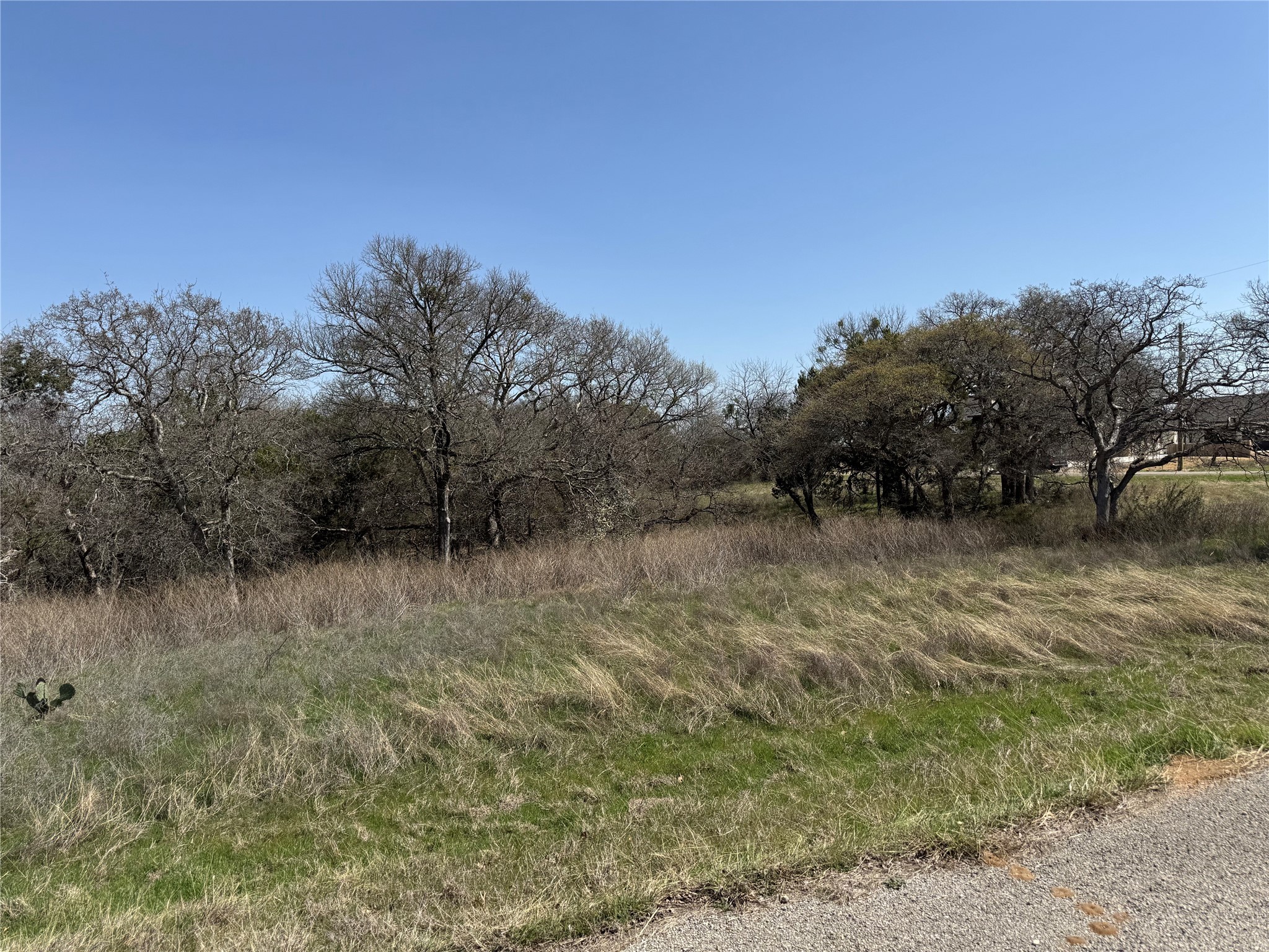 10053 Bluffview Court Whitney TX 76692