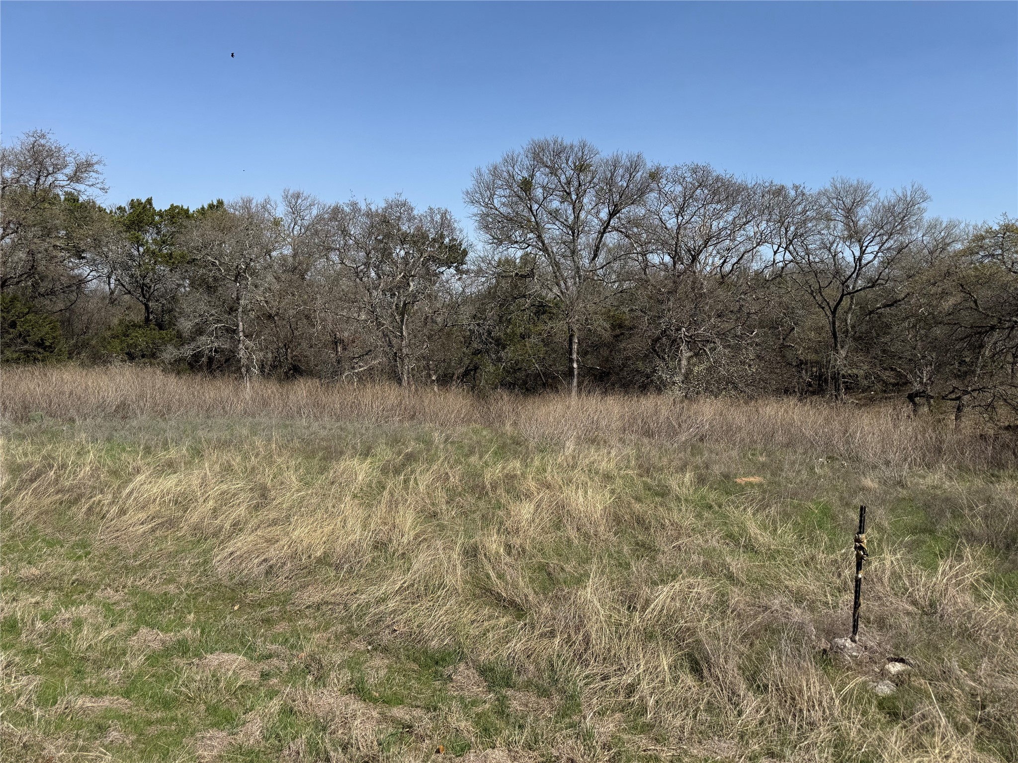 10053 Bluffview Court Whitney TX 76692