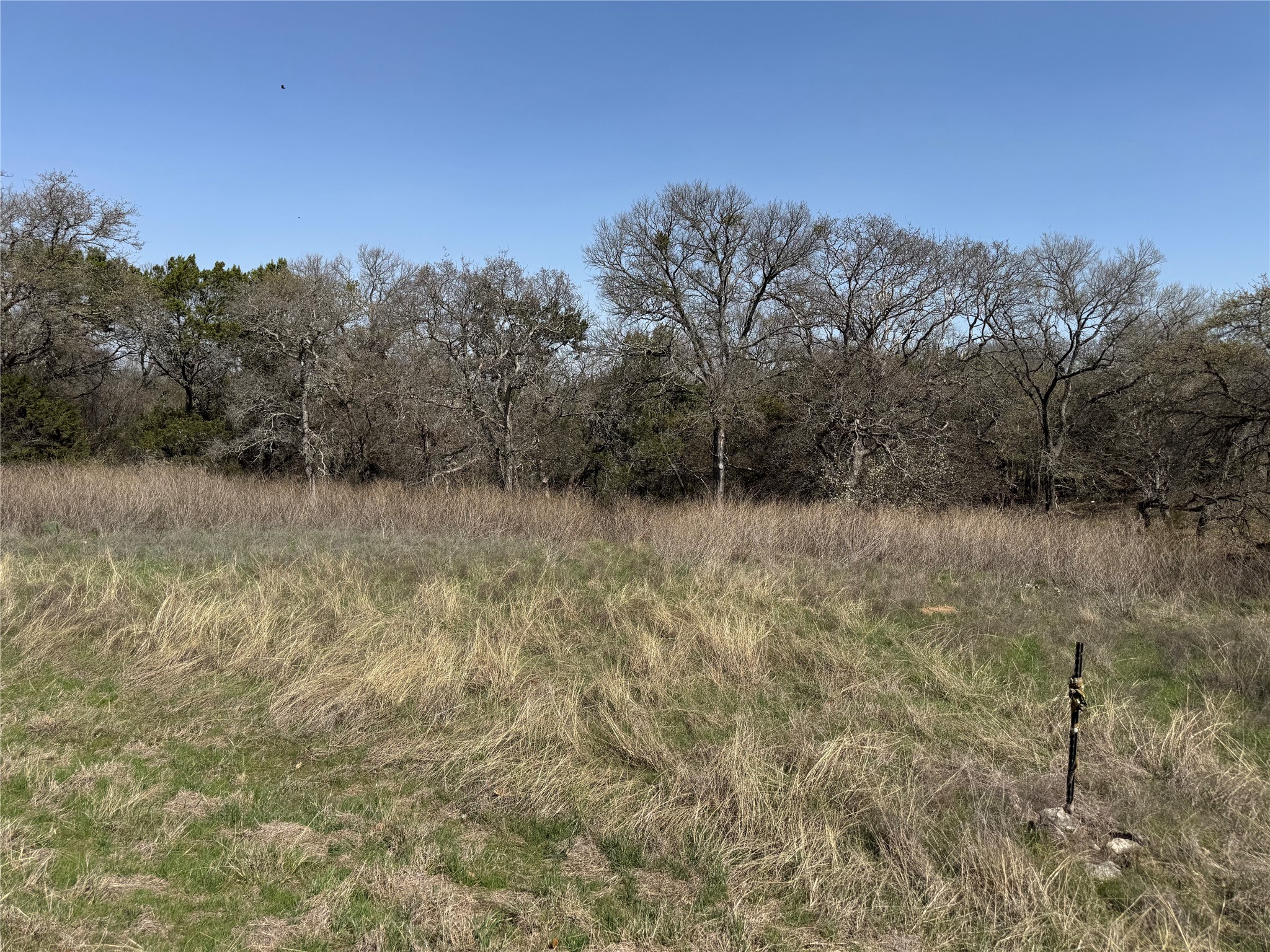 10053 Bluffview Court Whitney TX 76692