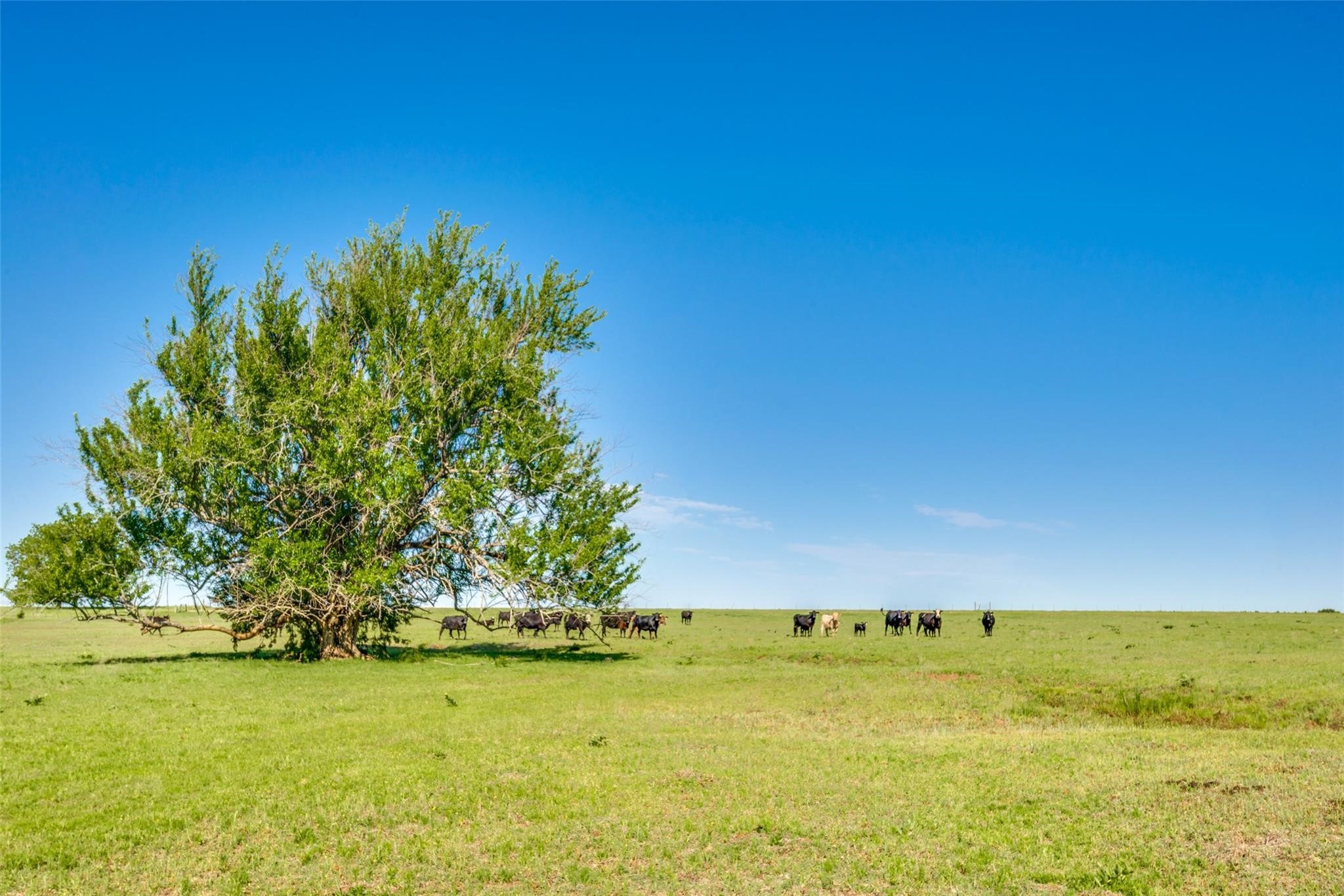 Tbd Highway 377 Pilot Point TX 76258