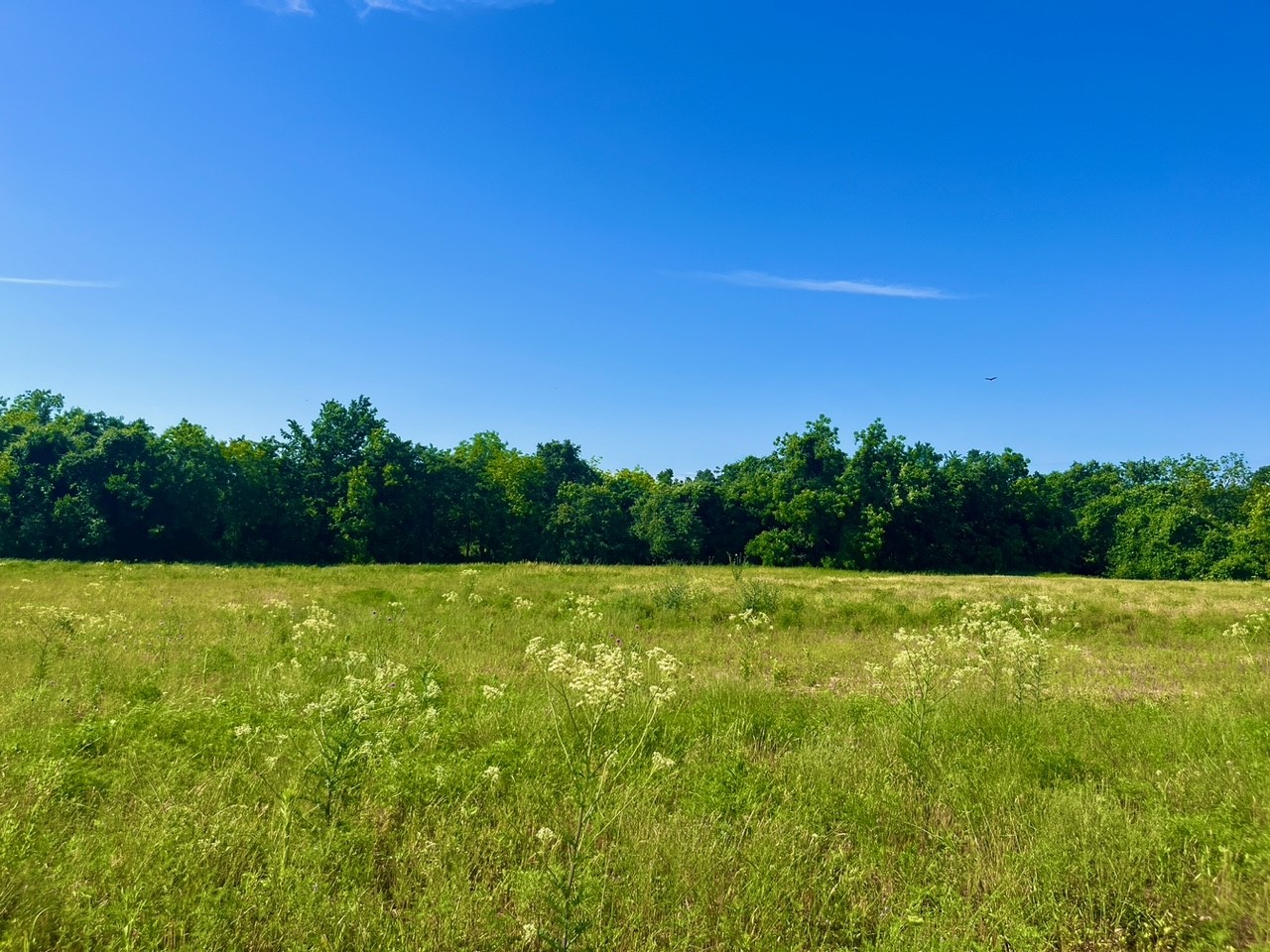 Lot 65 Kilkenny Road Poolville TX 76487