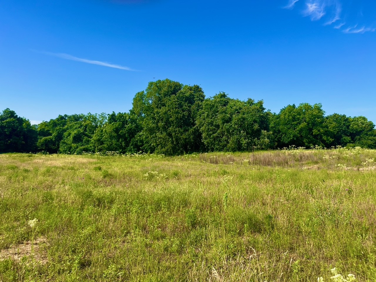Lot 65 Kilkenny Road Poolville TX 76487