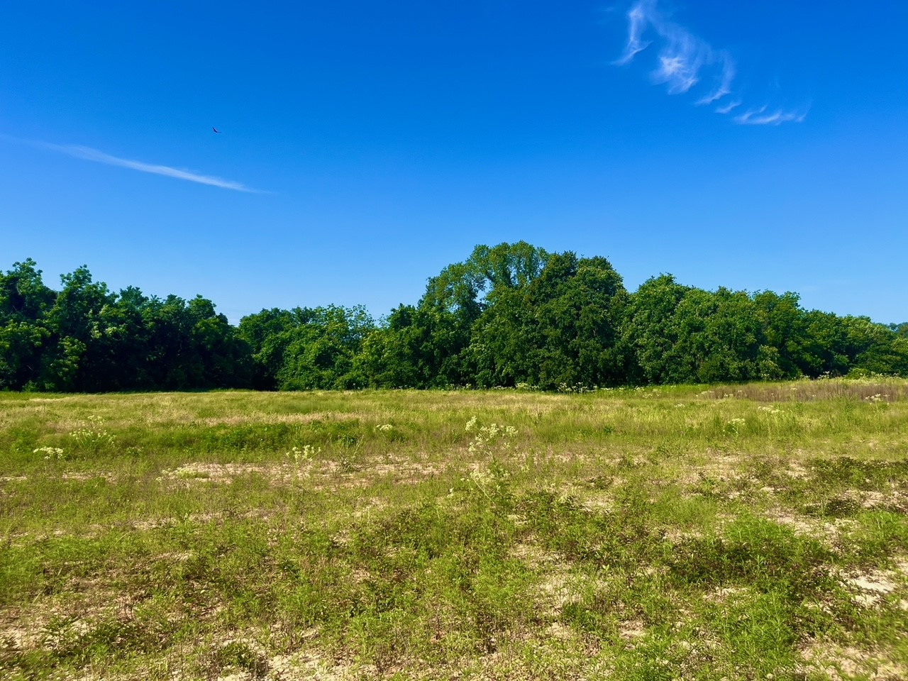 Lot 65 Kilkenny Road Poolville TX 76487