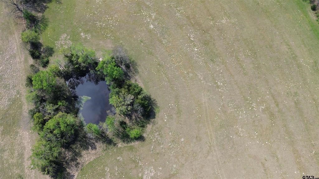 808 W Fm 1519 Pittsburg TX 75686