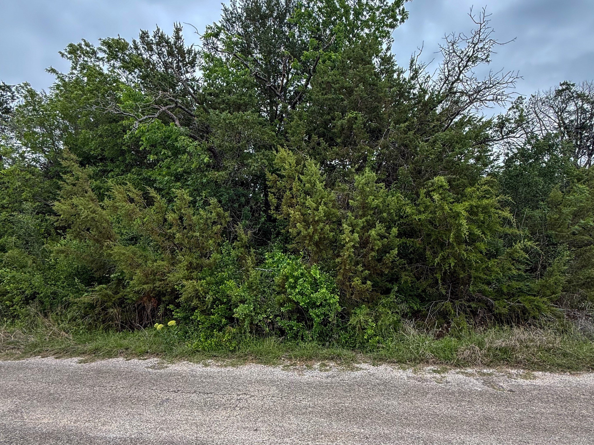 4627 Evening View Drive Granbury TX 76048