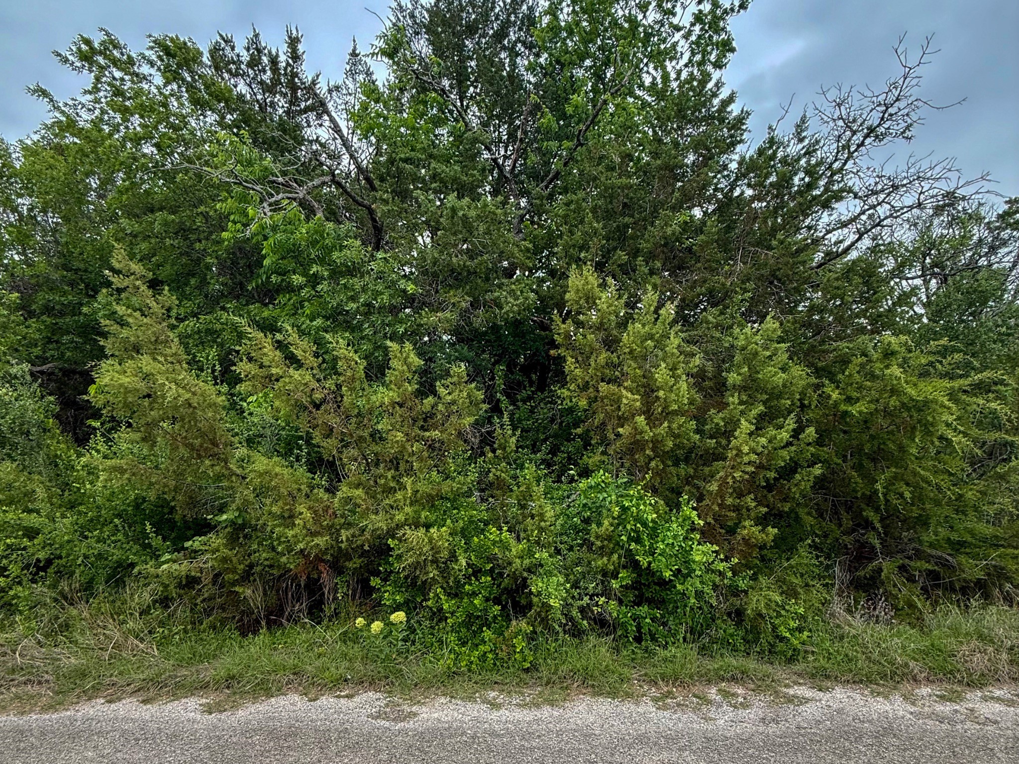 4627 Evening View Drive Granbury TX 76048