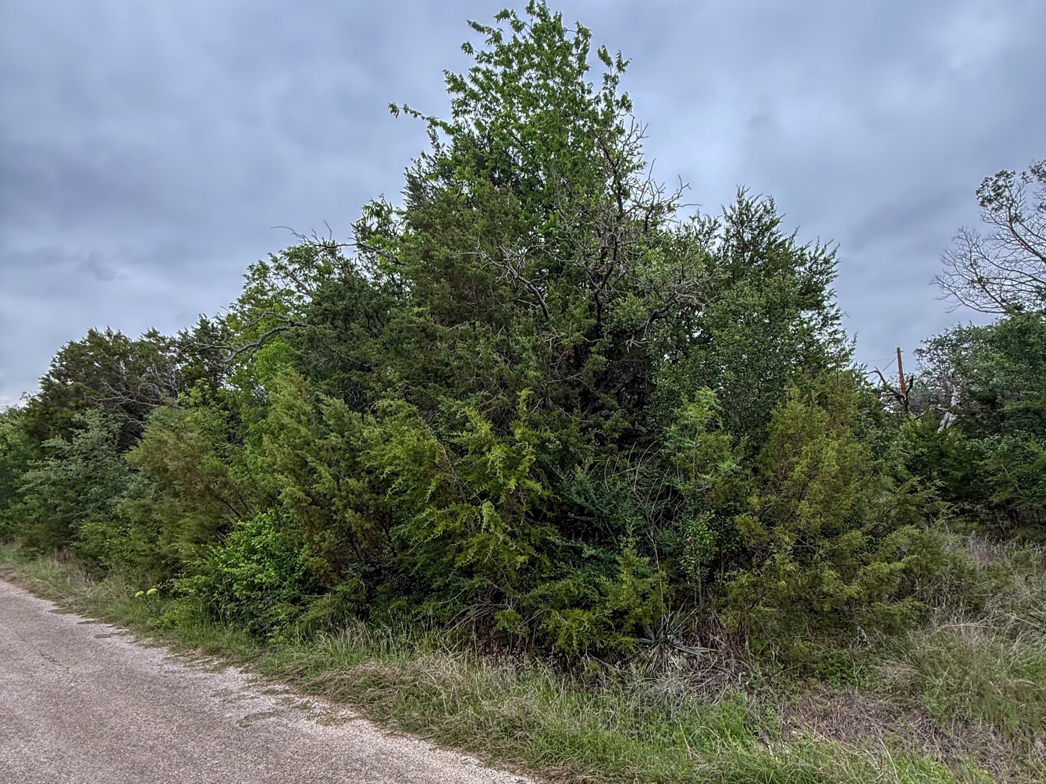 4627 Evening View Drive Granbury TX 76048