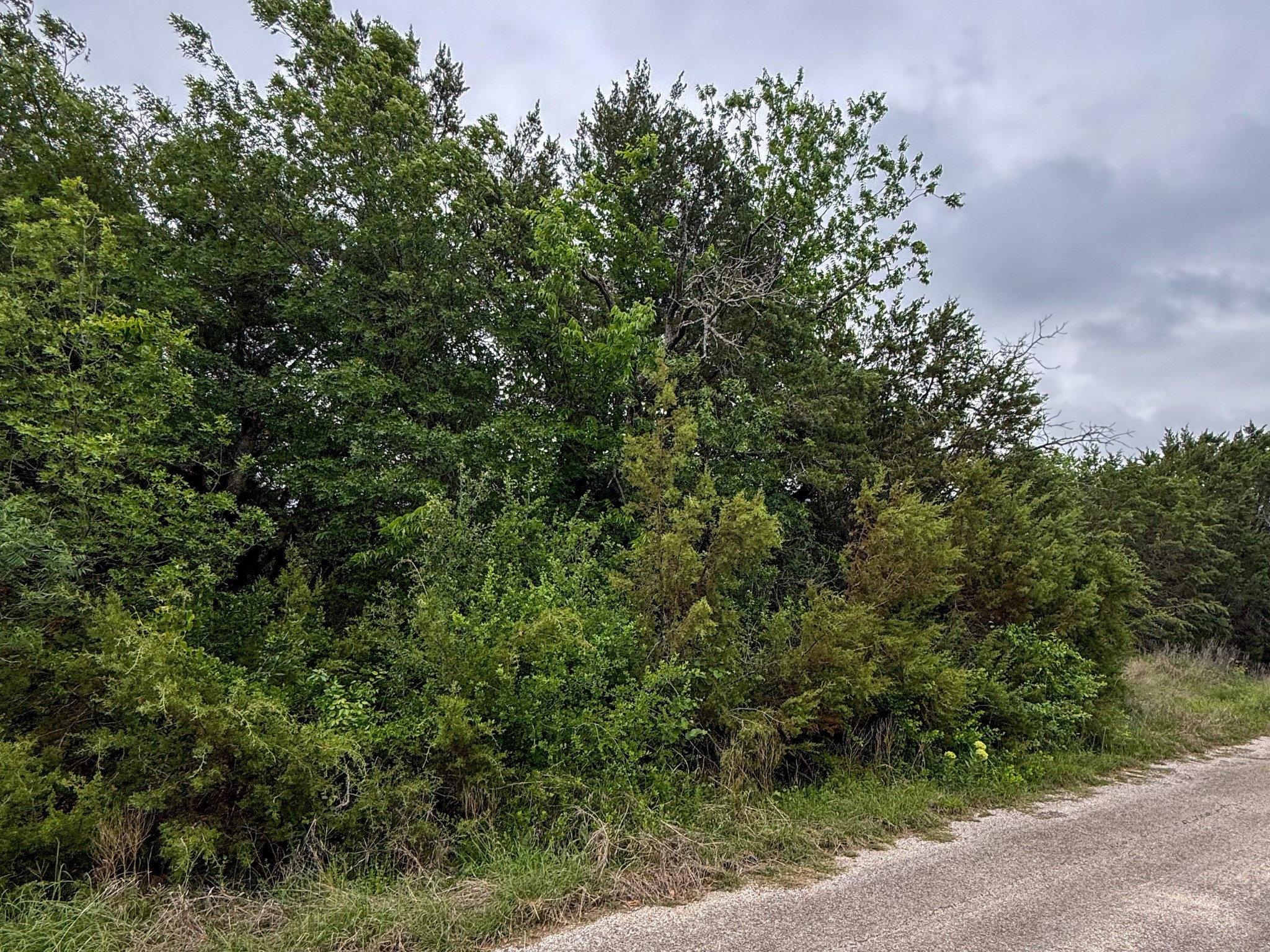 4627 Evening View Drive Granbury TX 76048