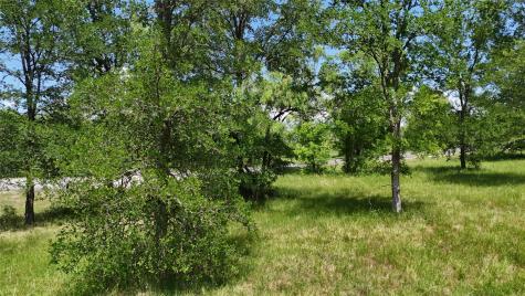 Lot 16 Opal Lane Corsicana TX 75109