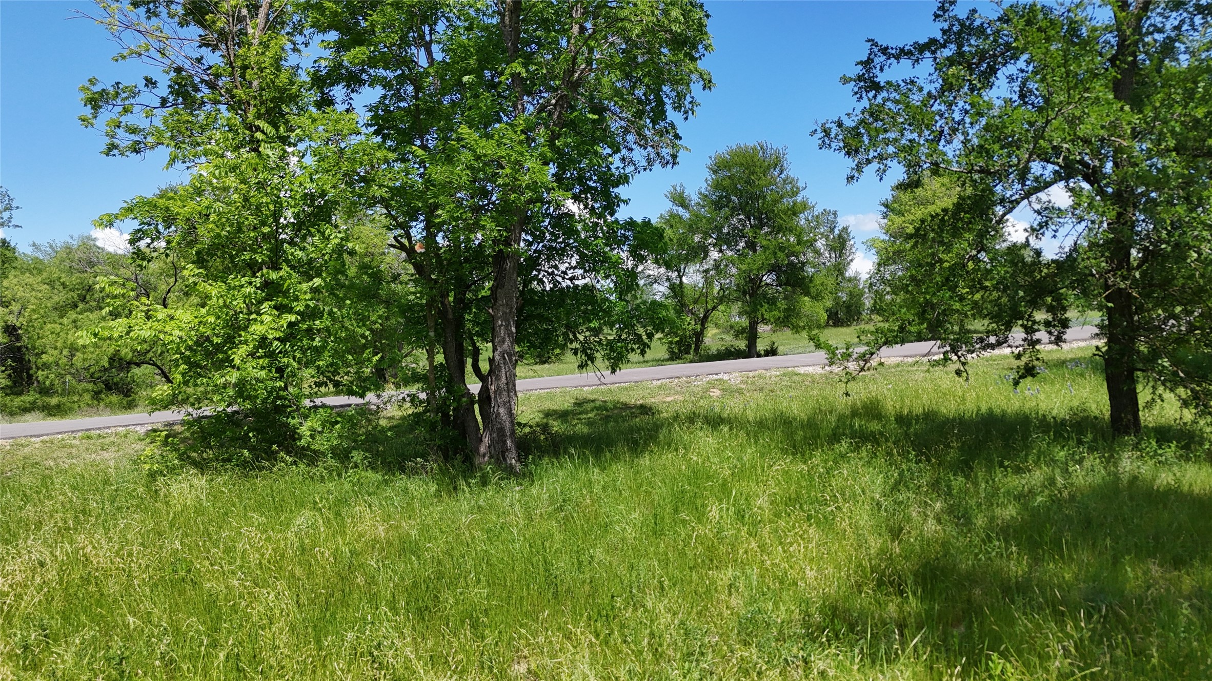 Lot 16 Opal Lane Corsicana TX 75109