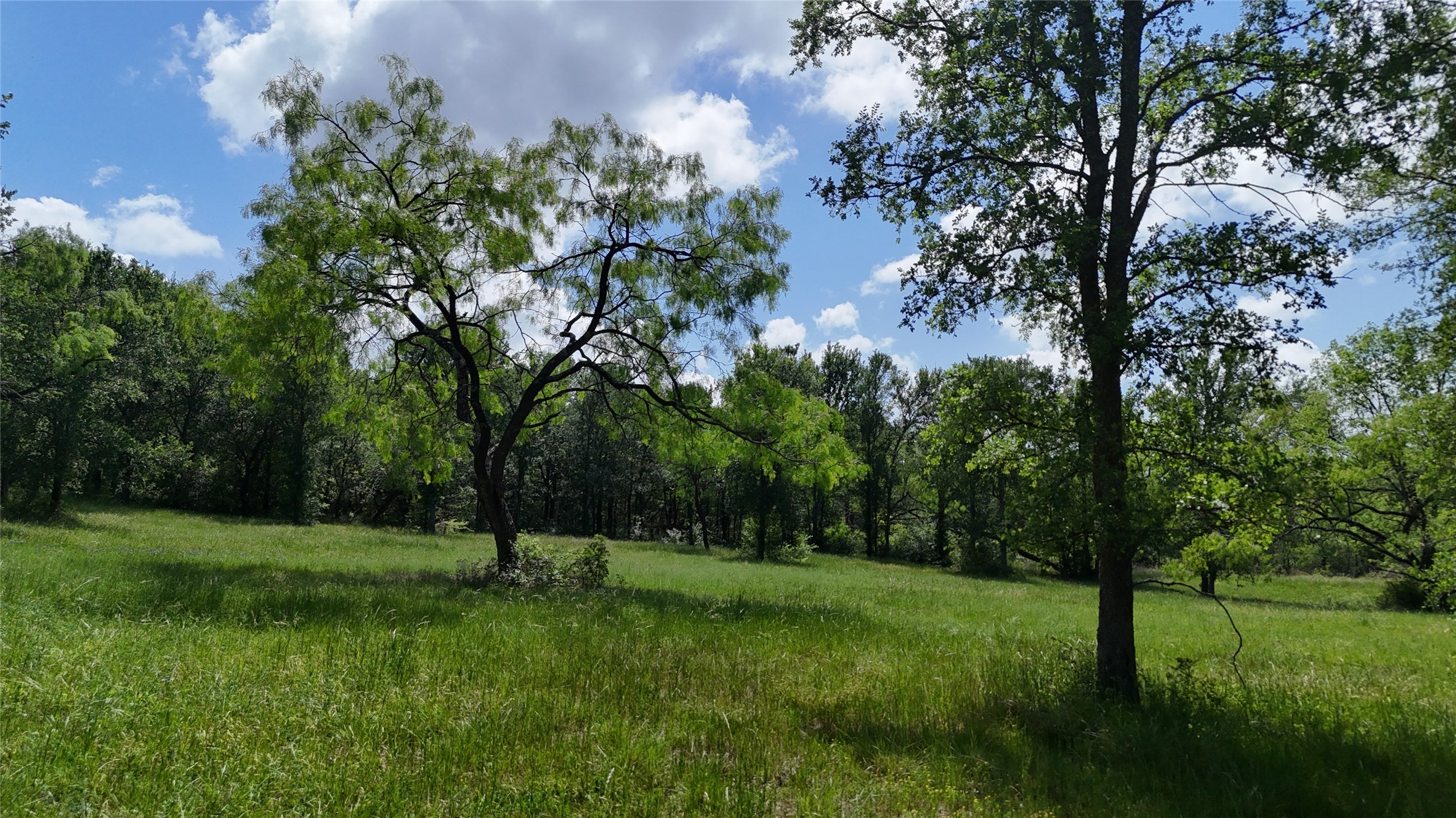 Lot 16 Opal Lane Corsicana TX 75109