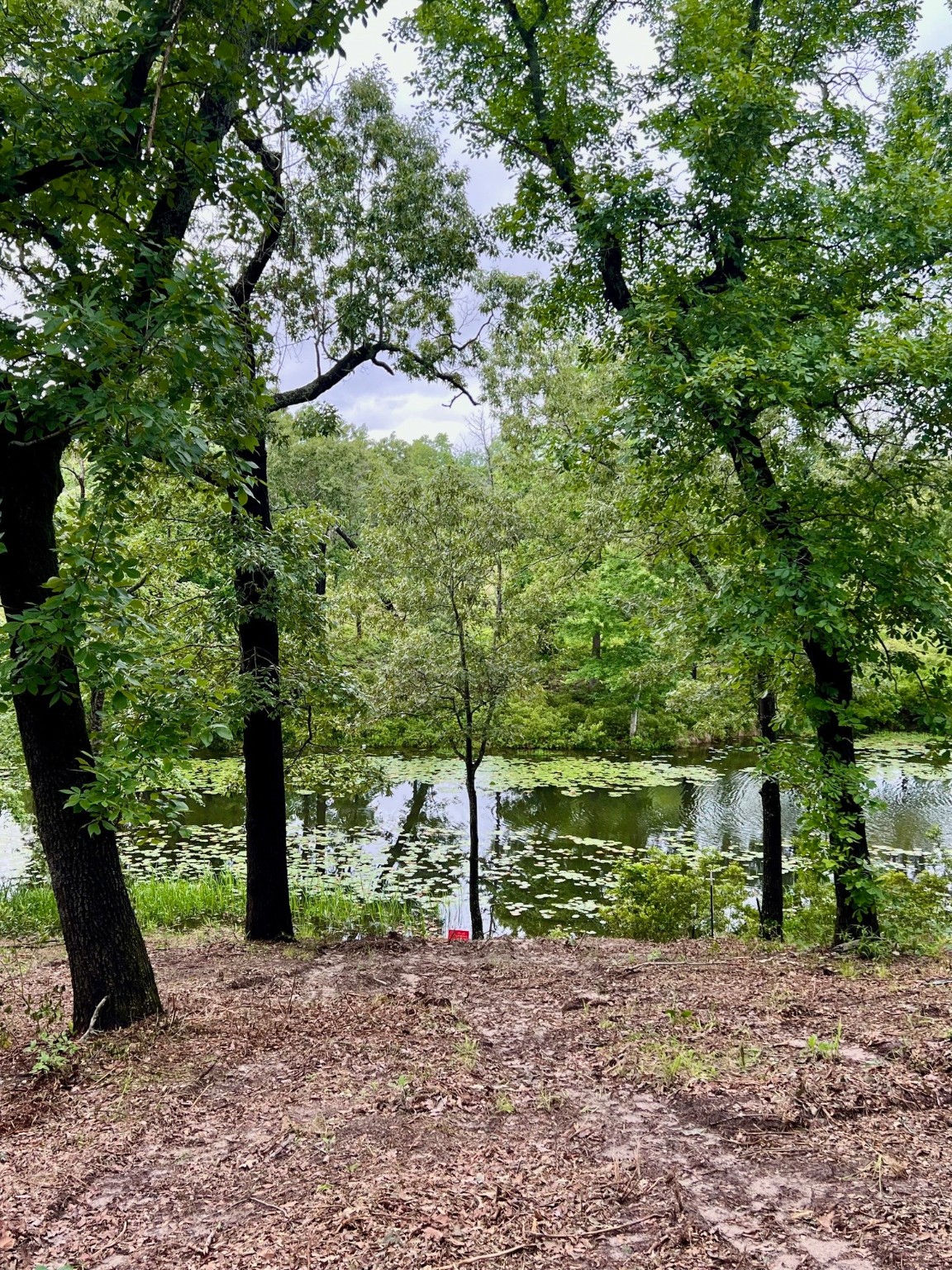 7721 County Road 4801 Athens TX 75752