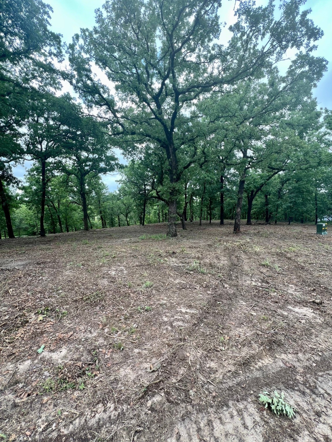7721 County Road 4801 Athens TX 75752