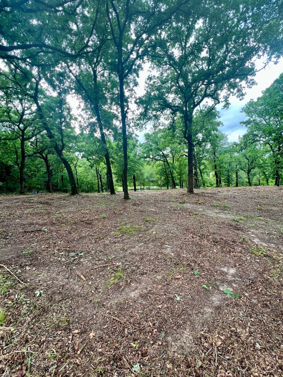 7721 County Road 4801 Athens TX 75752