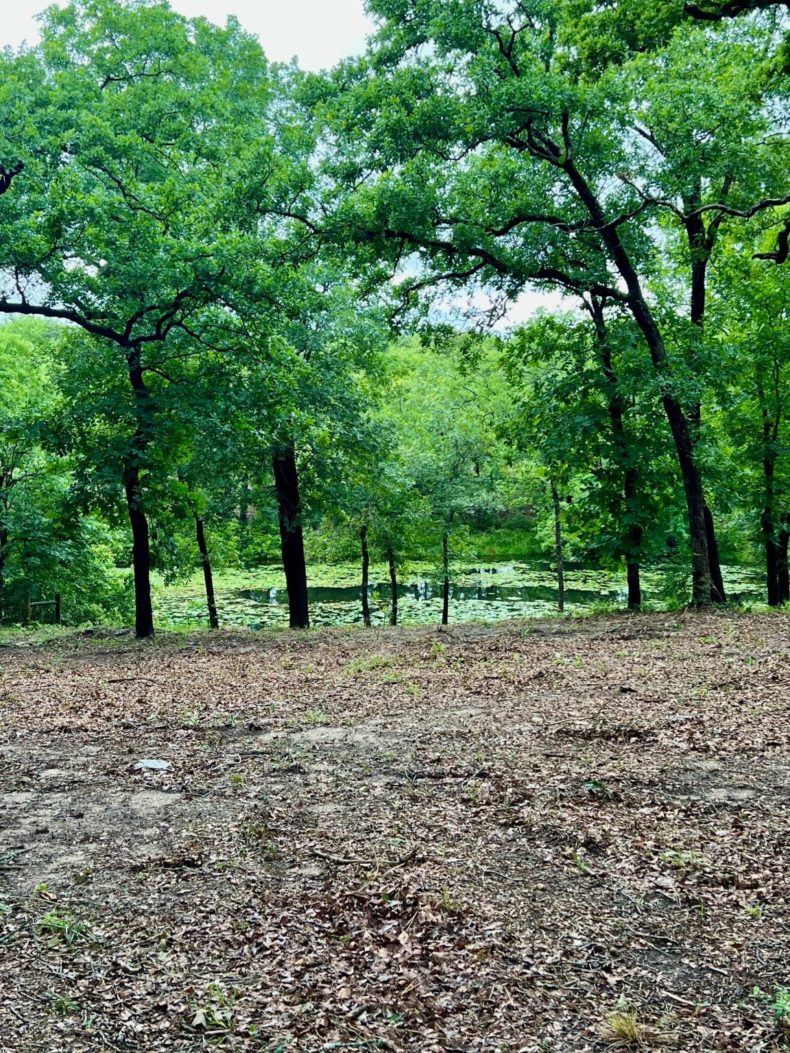 7721 County Road 4801 Athens TX 75752