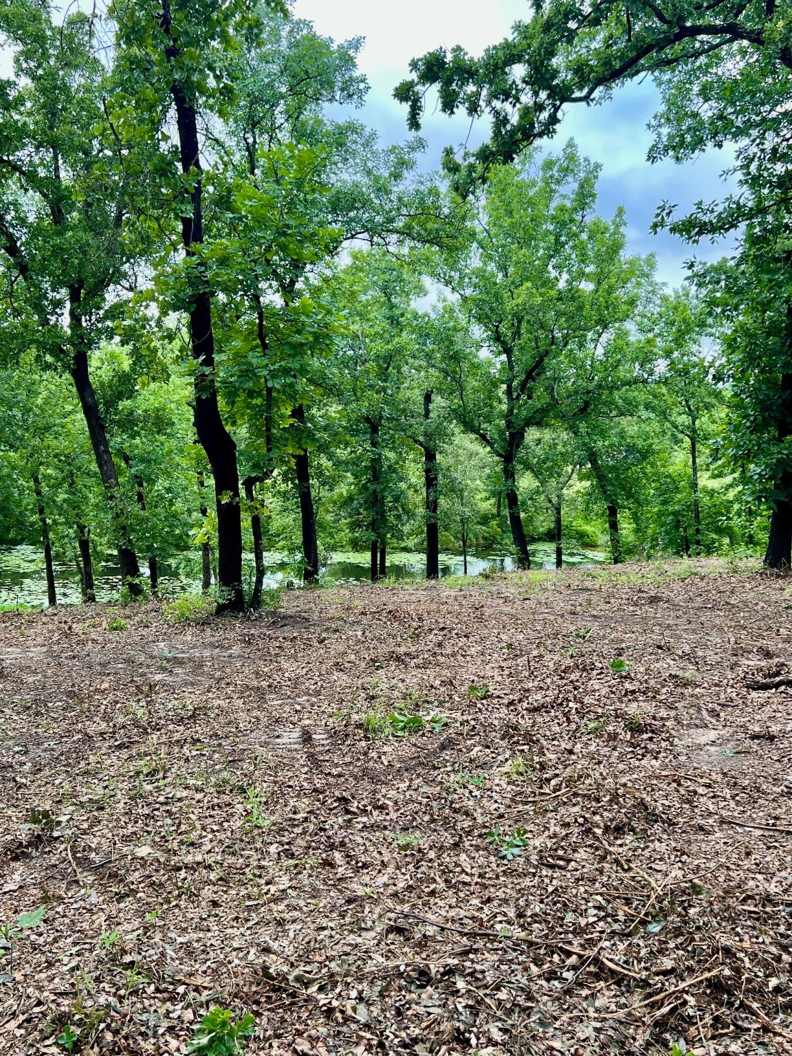 7721 County Road 4801 Athens TX 75752