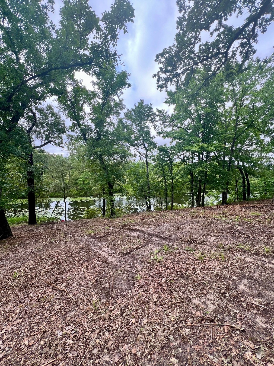 7721 County Road 4801 Athens TX 75752