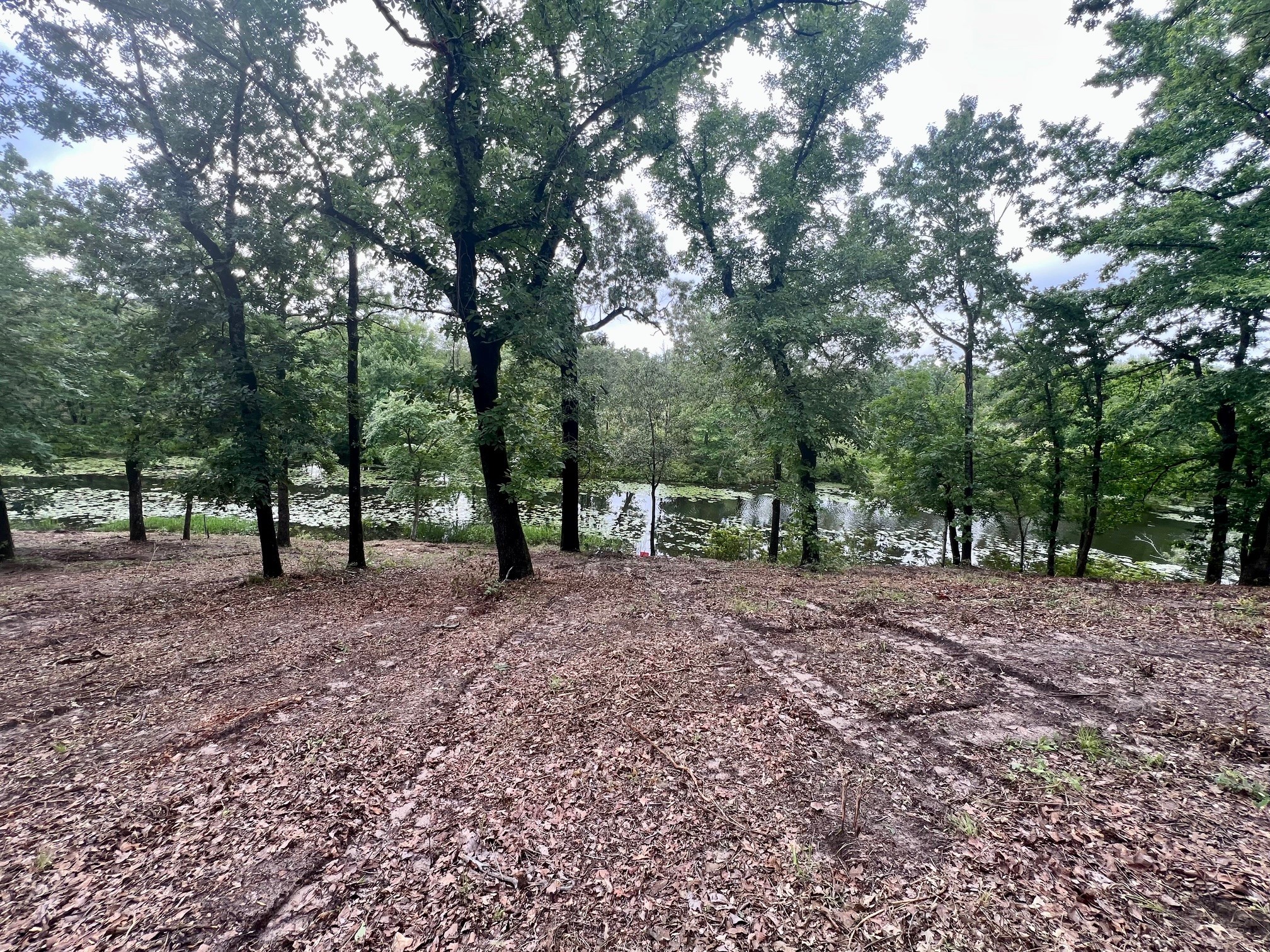 7721 County Road 4801 Athens TX 75752