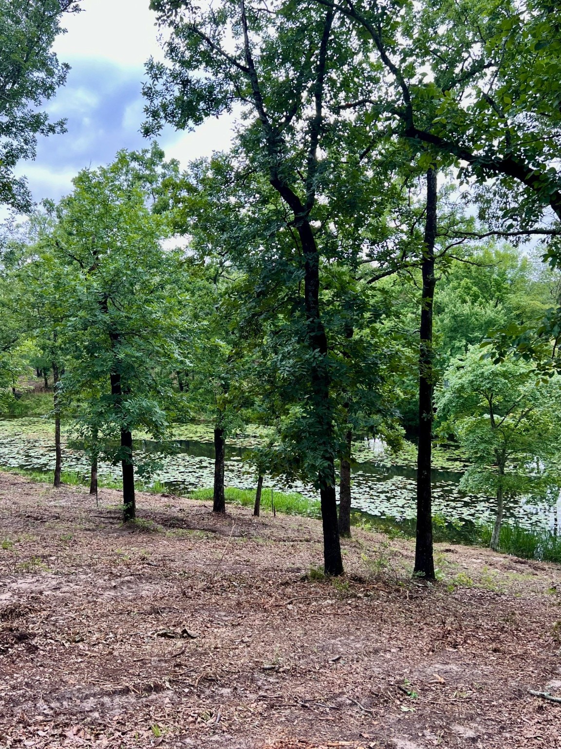 7721 County Road 4801 Athens TX 75752