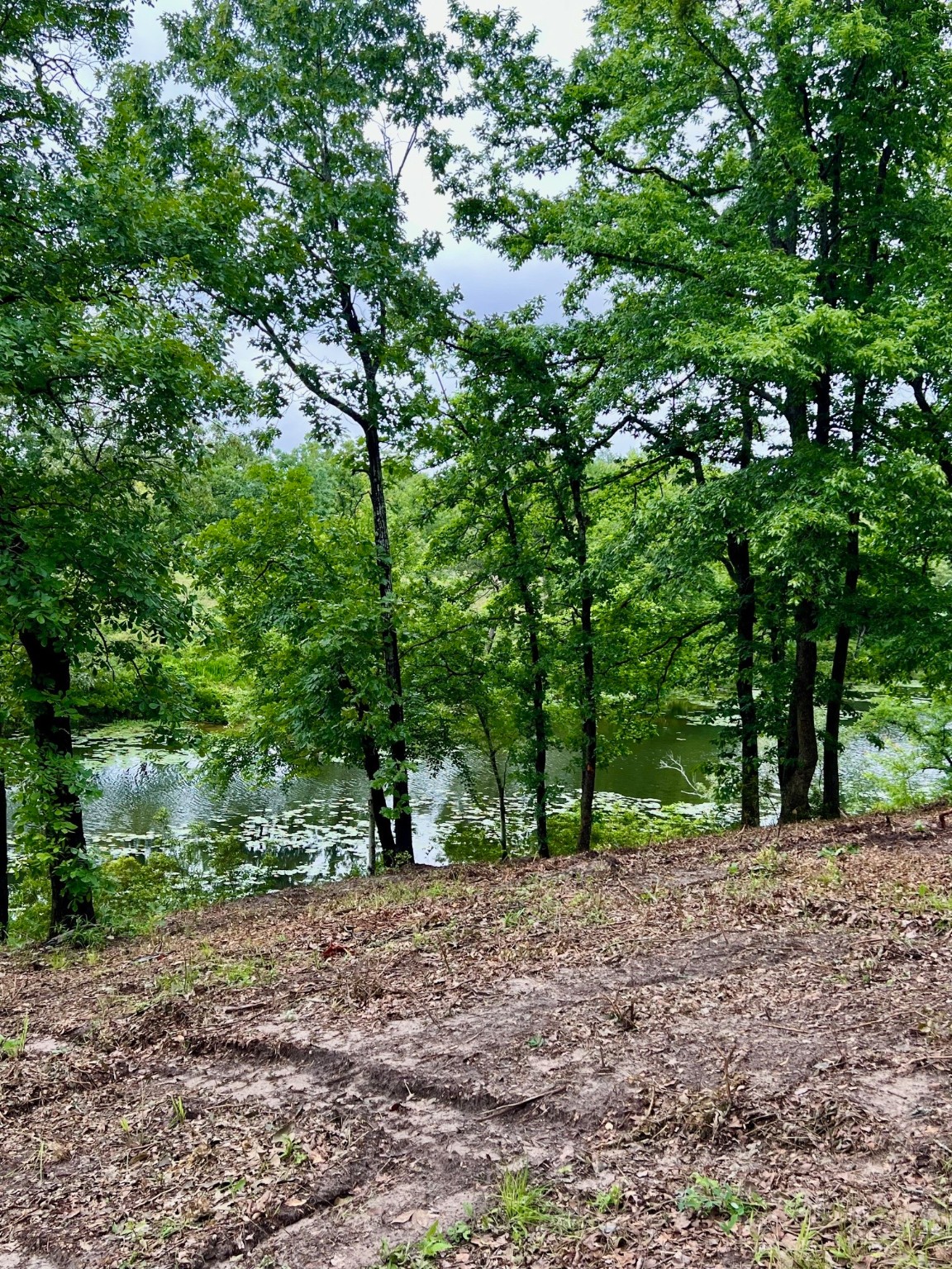 7721 County Road 4801 Athens TX 75752
