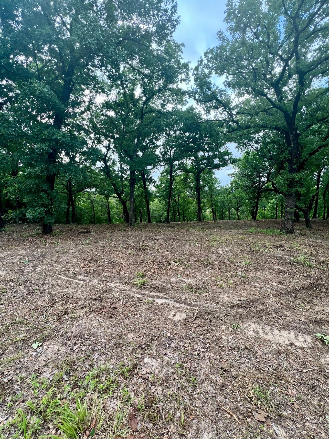 7721 County Road 4801 Athens TX 75752