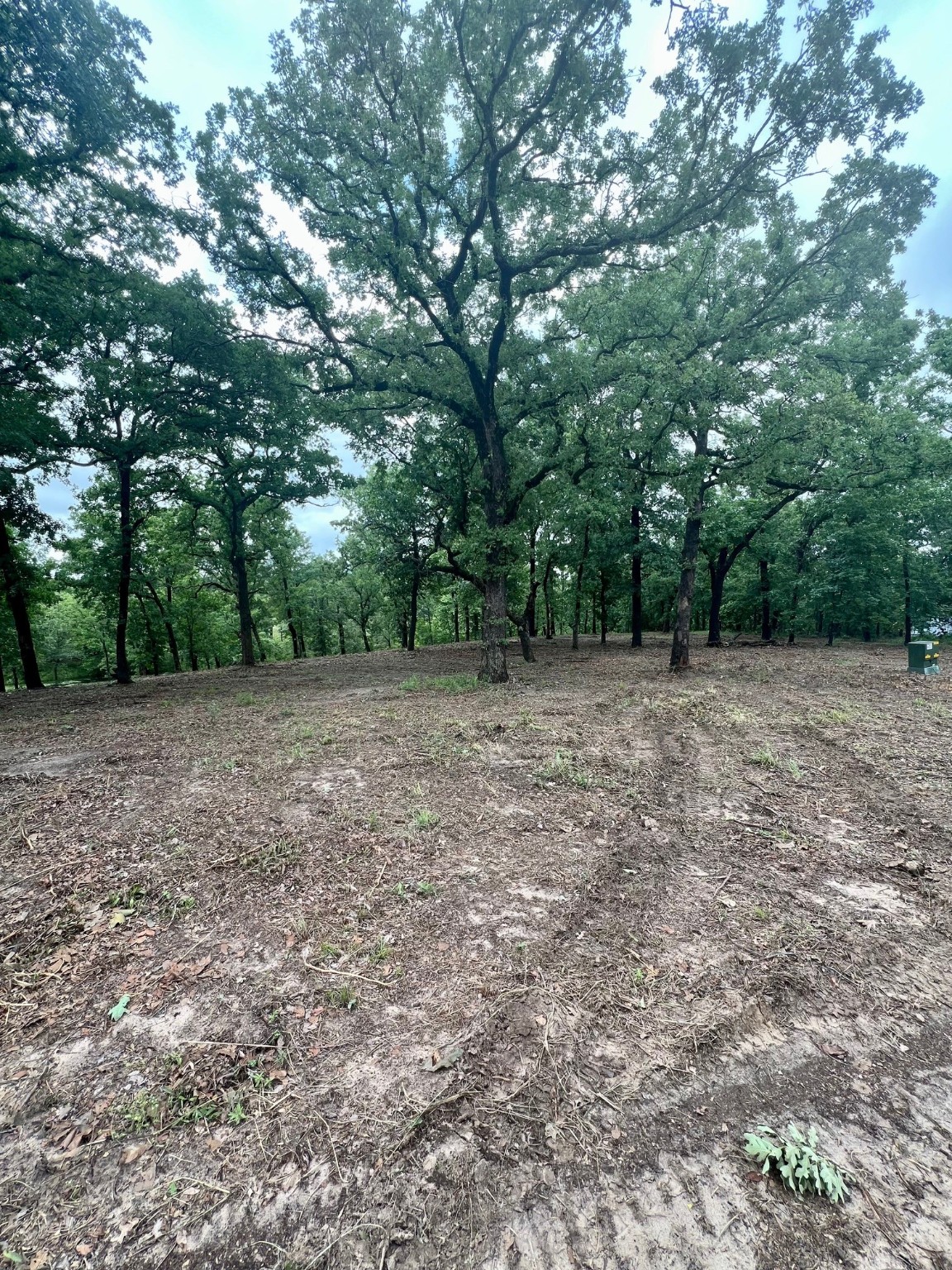 7721 County Road 4801 Athens TX 75752