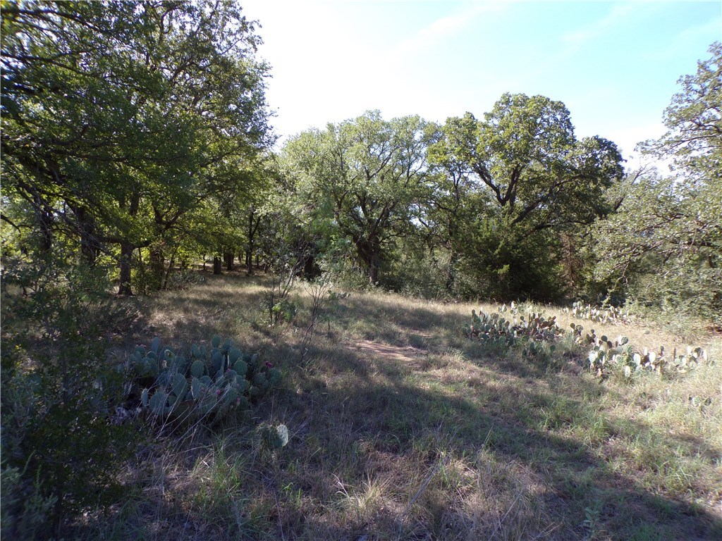 9999 Fm 2492 Brownwood TX 76801